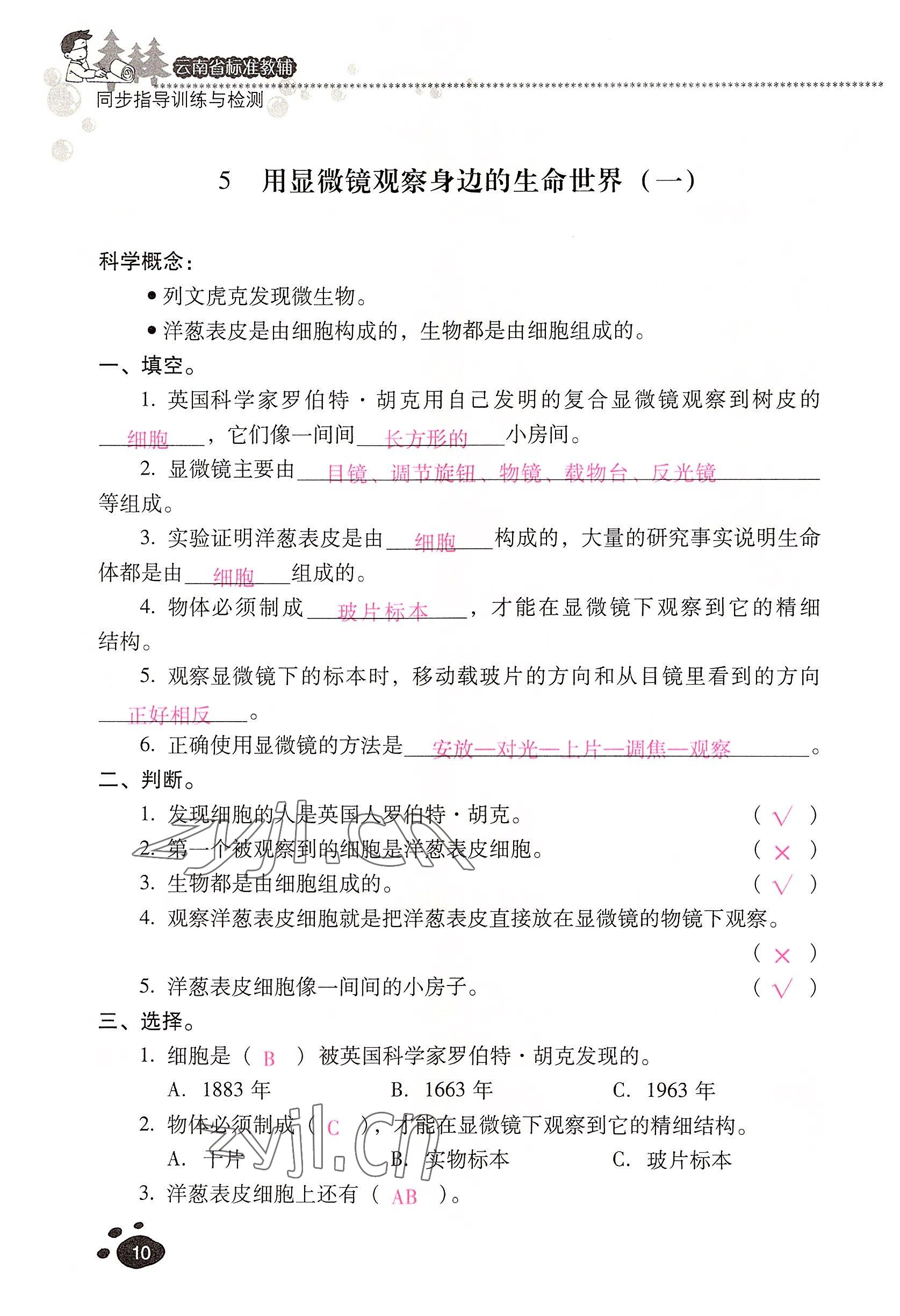 2022年云南省标准教辅同步指导训练与检测六年级科学下册教科版 参考答案第9页