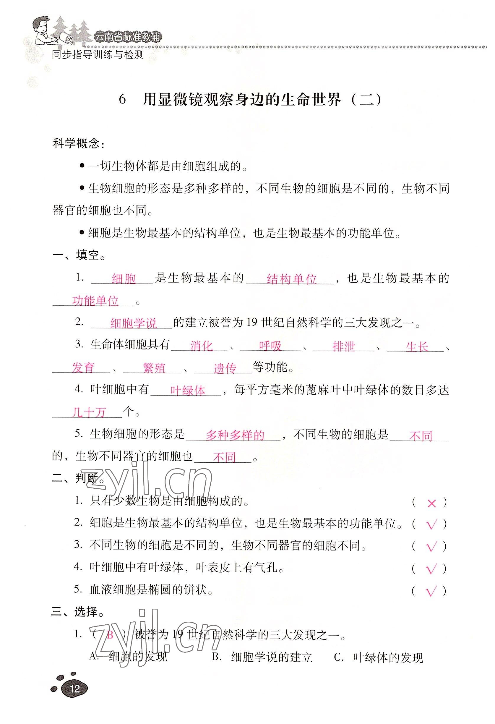 2022年云南省标准教辅同步指导训练与检测六年级科学下册教科版 参考答案第11页