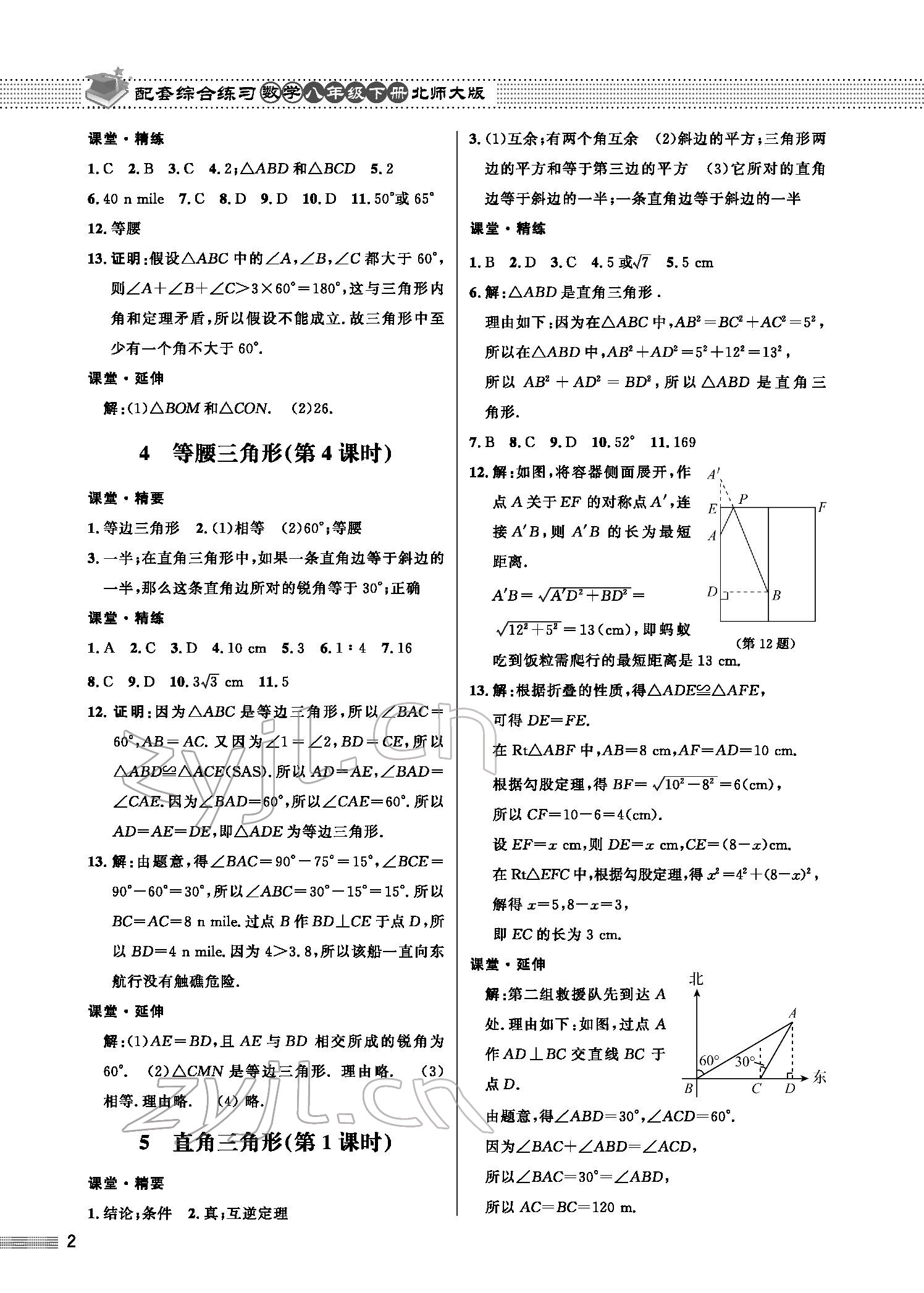 2022年配套综合练习八年级数学下册北师大版 参考答案第2页