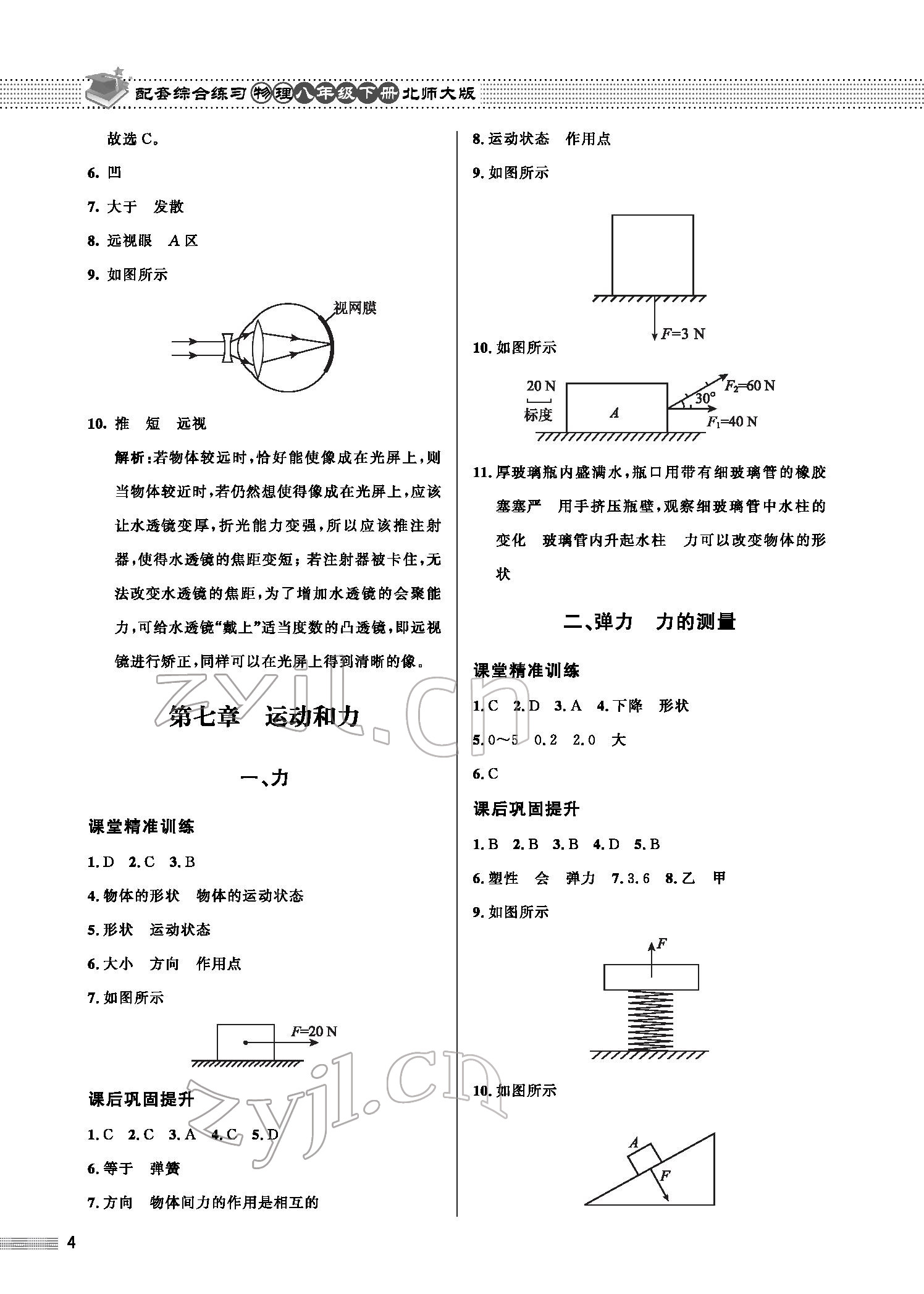 2022年配套综合练习八年级物理下册北师大版 参考答案第4页