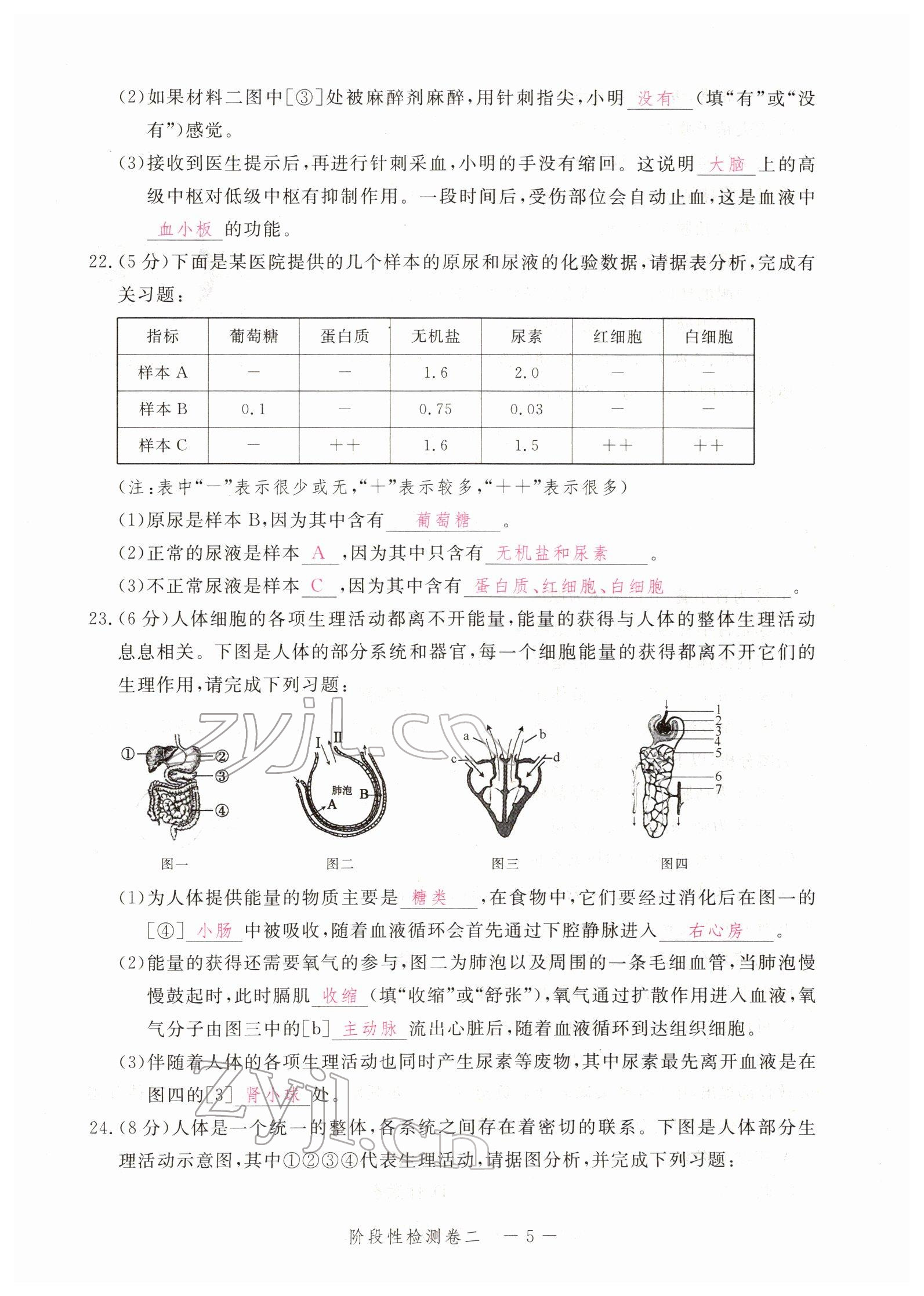 2022年芝麻开花学考方略生物人教版 参考答案第30页