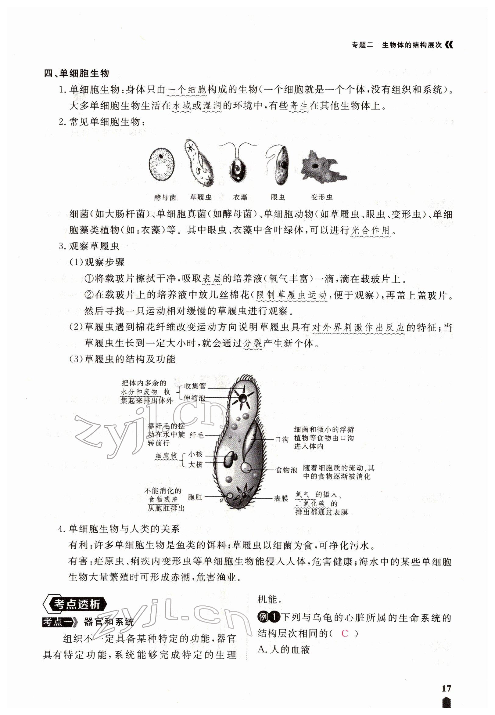 2022年芝麻开花学考方略生物人教版 参考答案第47页