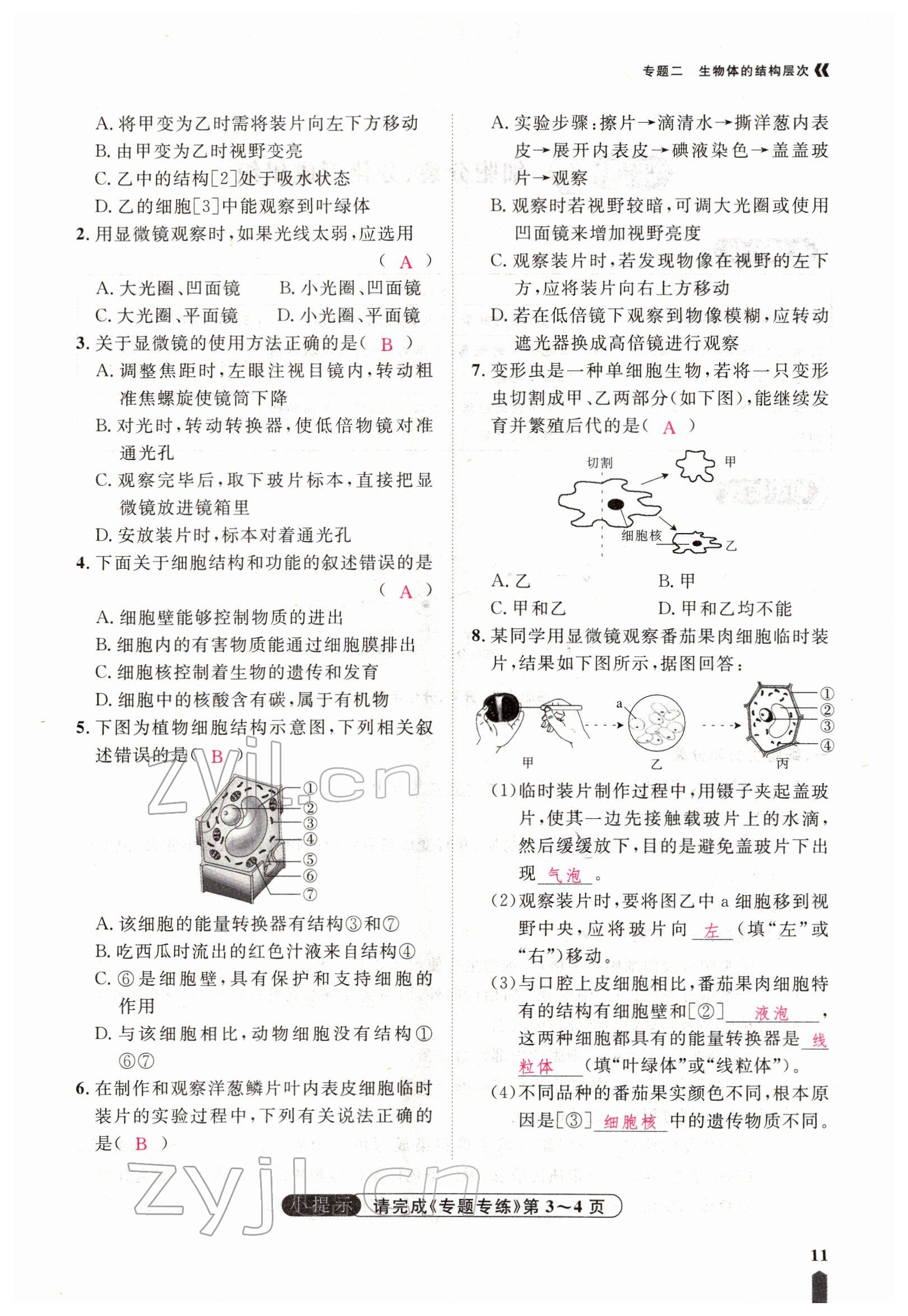 2022年芝麻开花学考方略生物人教版 参考答案第29页