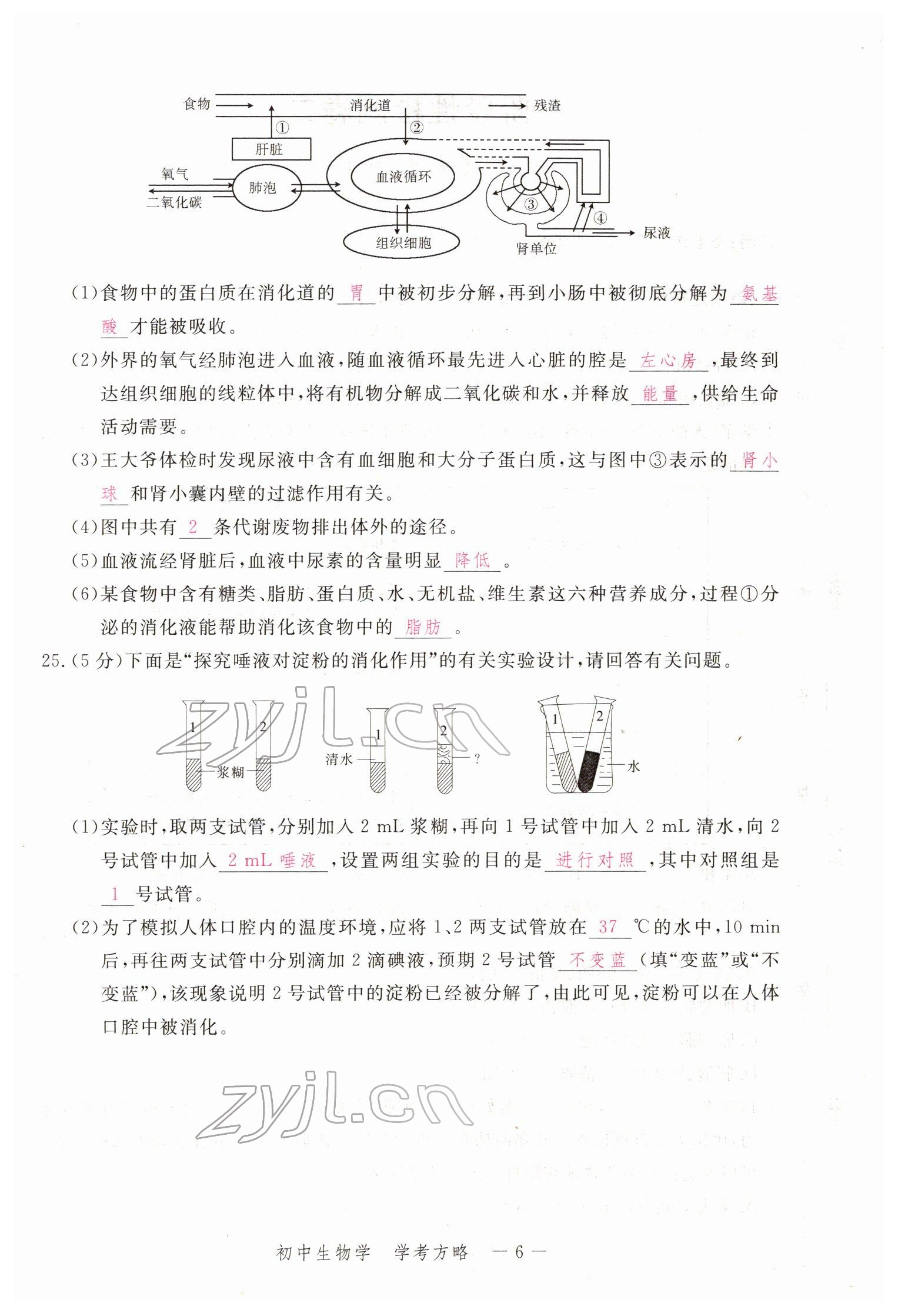 2022年芝麻开花学考方略生物人教版 参考答案第33页