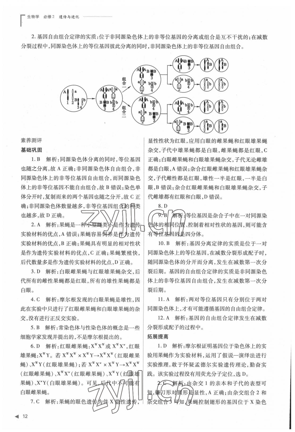 2022年普通高中新課程同步練習冊高中生物必修2人教版 參考答案第12頁