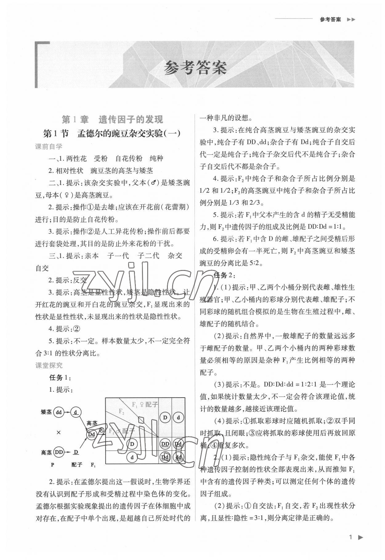 2022年普通高中新課程同步練習(xí)冊(cè)高中生物必修2人教版 參考答案第1頁(yè)