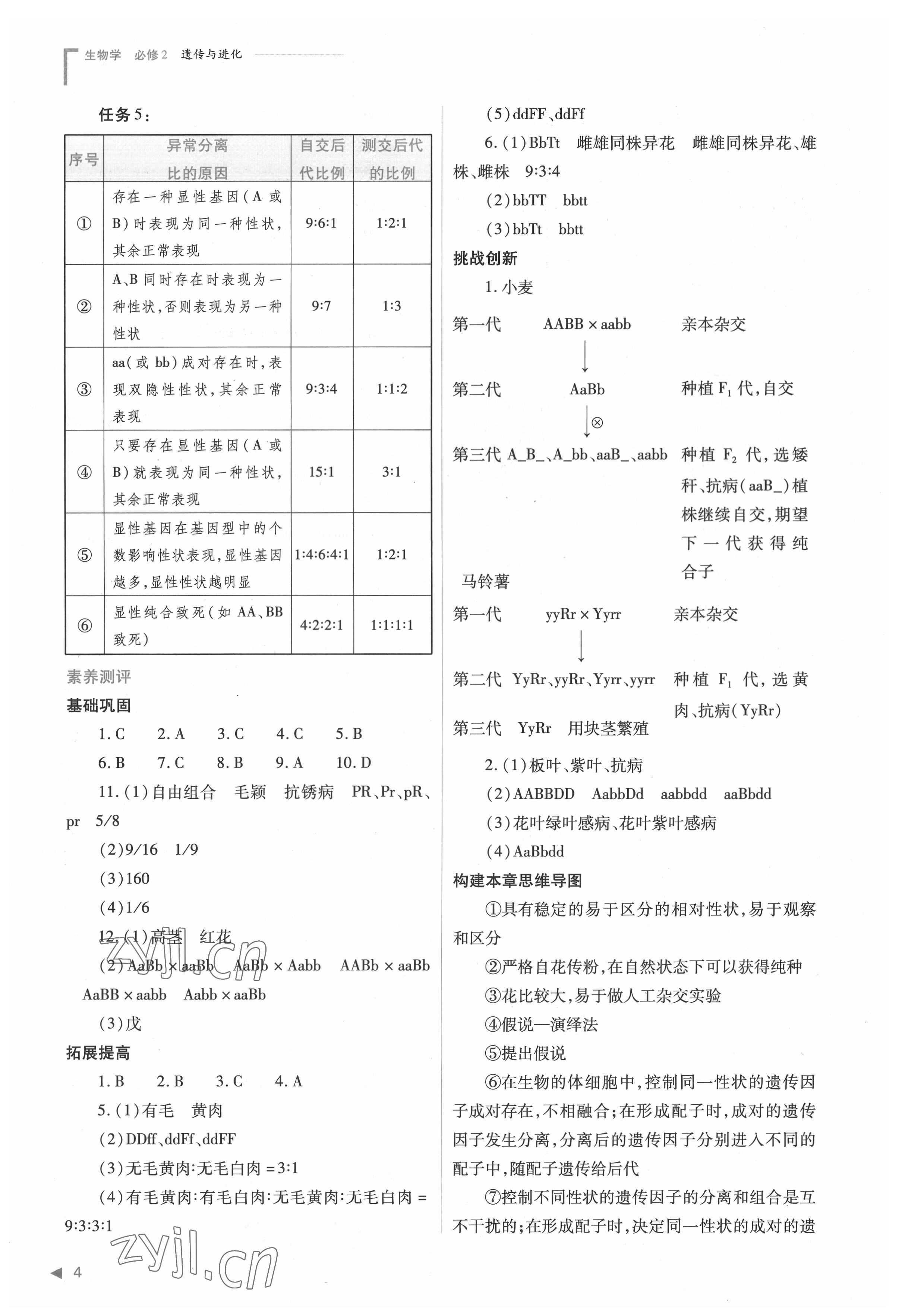 2022年普通高中新課程同步練習冊高中生物必修2人教版 參考答案第4頁