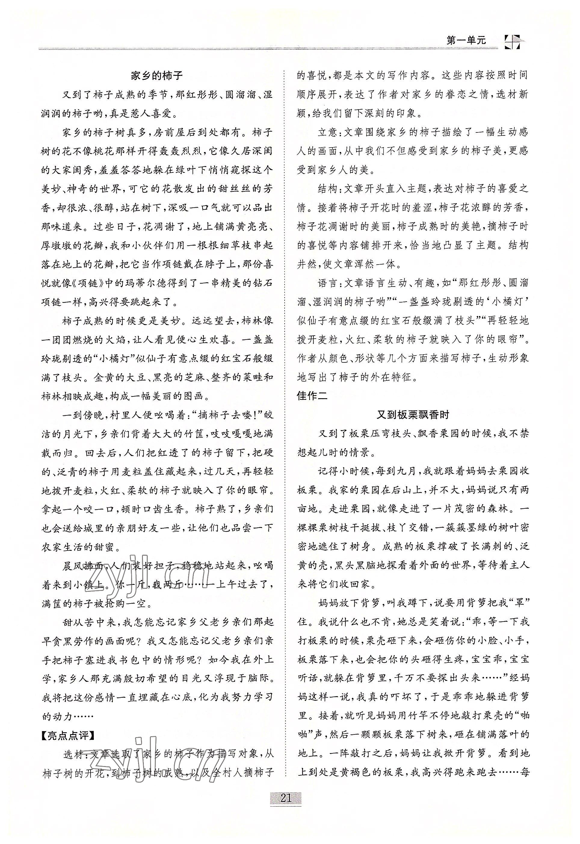 2022年名师课堂课时优化精讲精练八年级语文下册人教版 参考答案第21页