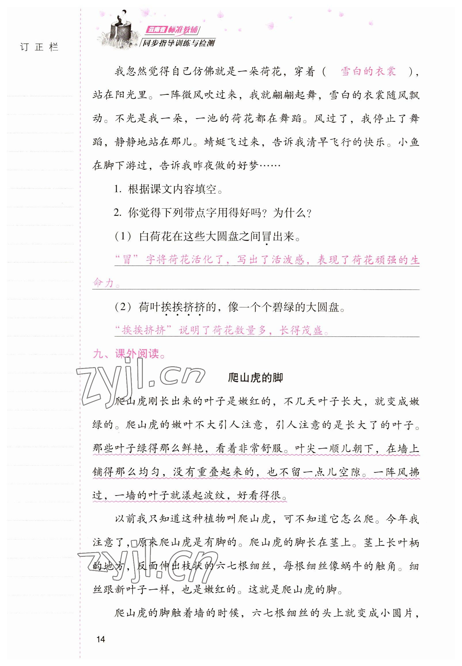 2022年云南省标准教辅同步指导训练与检测三年级语文下册人教版 参考答案第13页