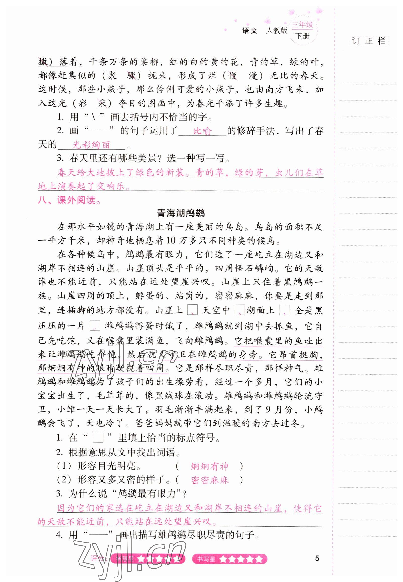 2022年云南省标准教辅同步指导训练与检测三年级语文下册人教版 参考答案第4页