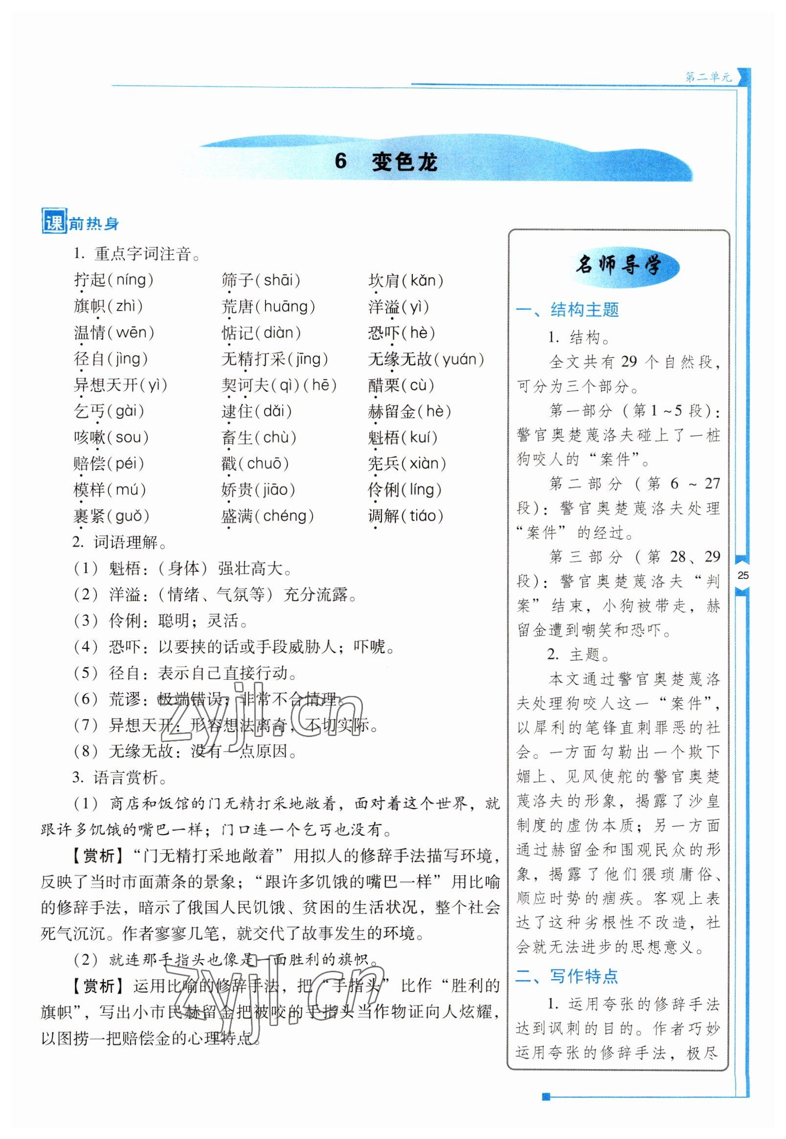 2022年云南省标准教辅优佳学案九年级语文下册人教版 参考答案第25页