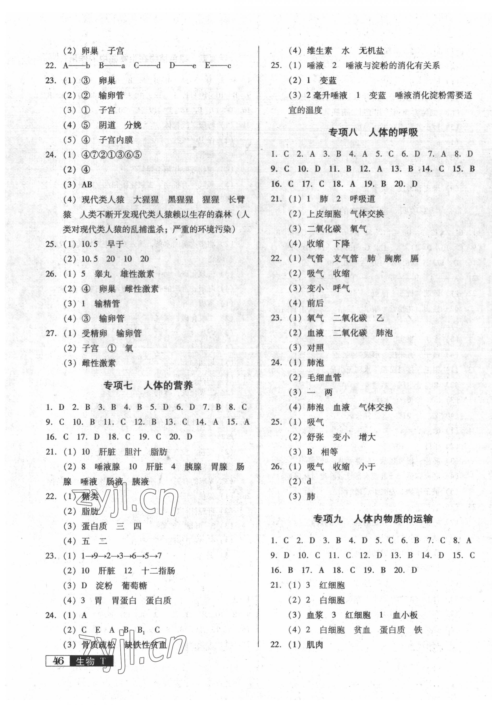 2022年中考阶段总复习生物A卷 第3页