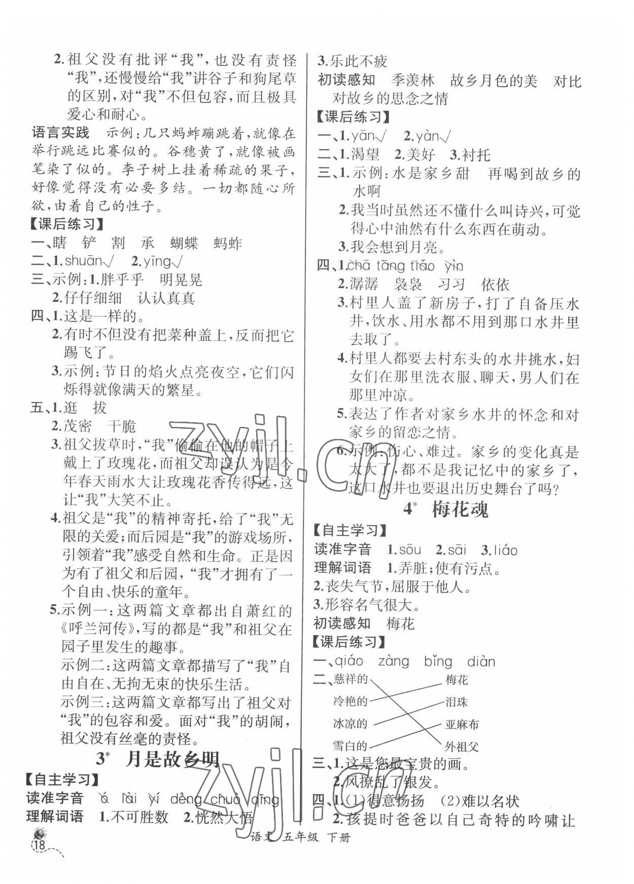 2022年人教金学典同步解析与测评五年级语文下册人教版云南专版 第2页