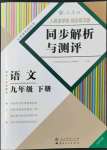 2022年人教金学典同步解析与测评九年级语文下册人教版云南专版