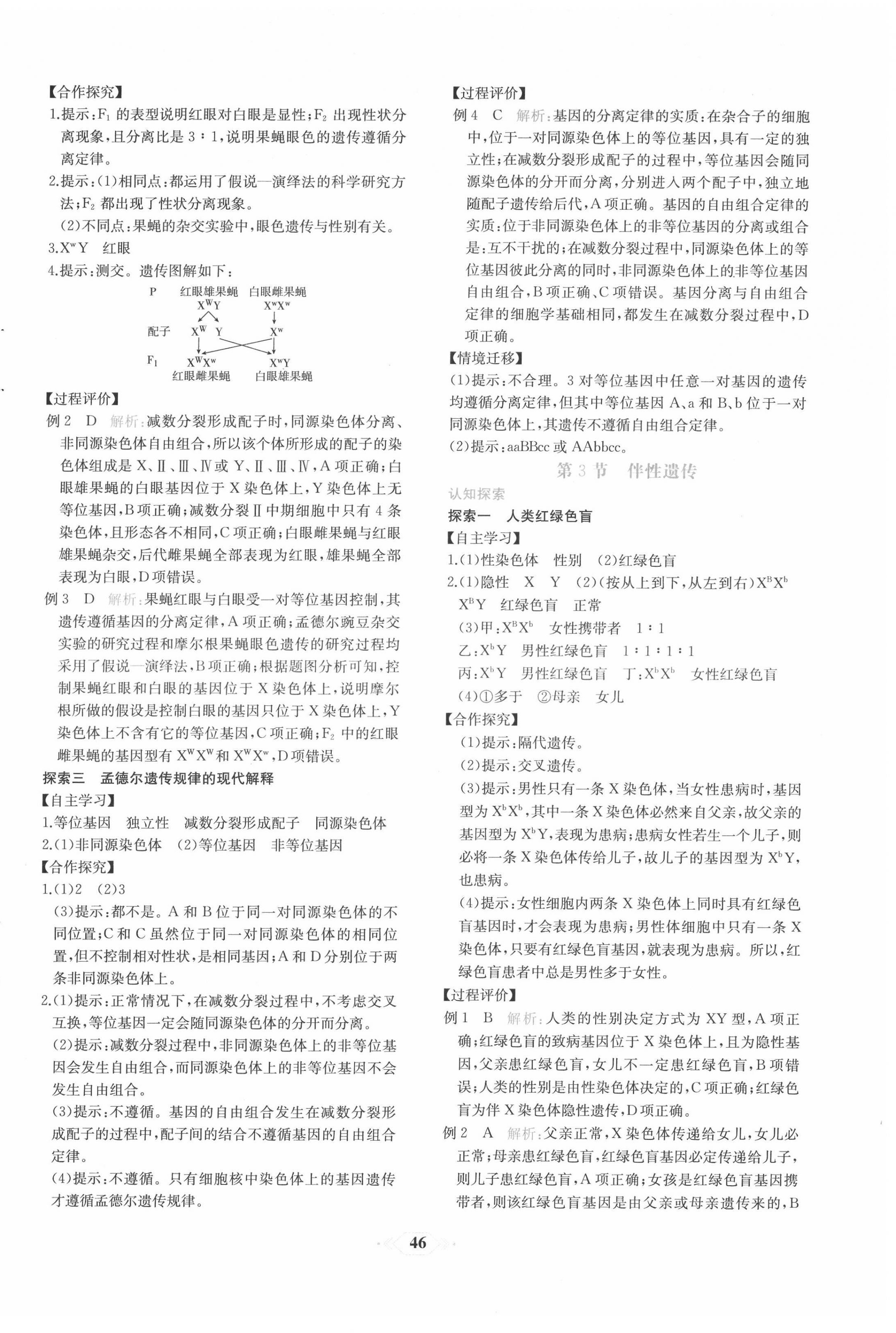 2022年新课程学习评价方案课时练高中生物必修2人教版 第14页