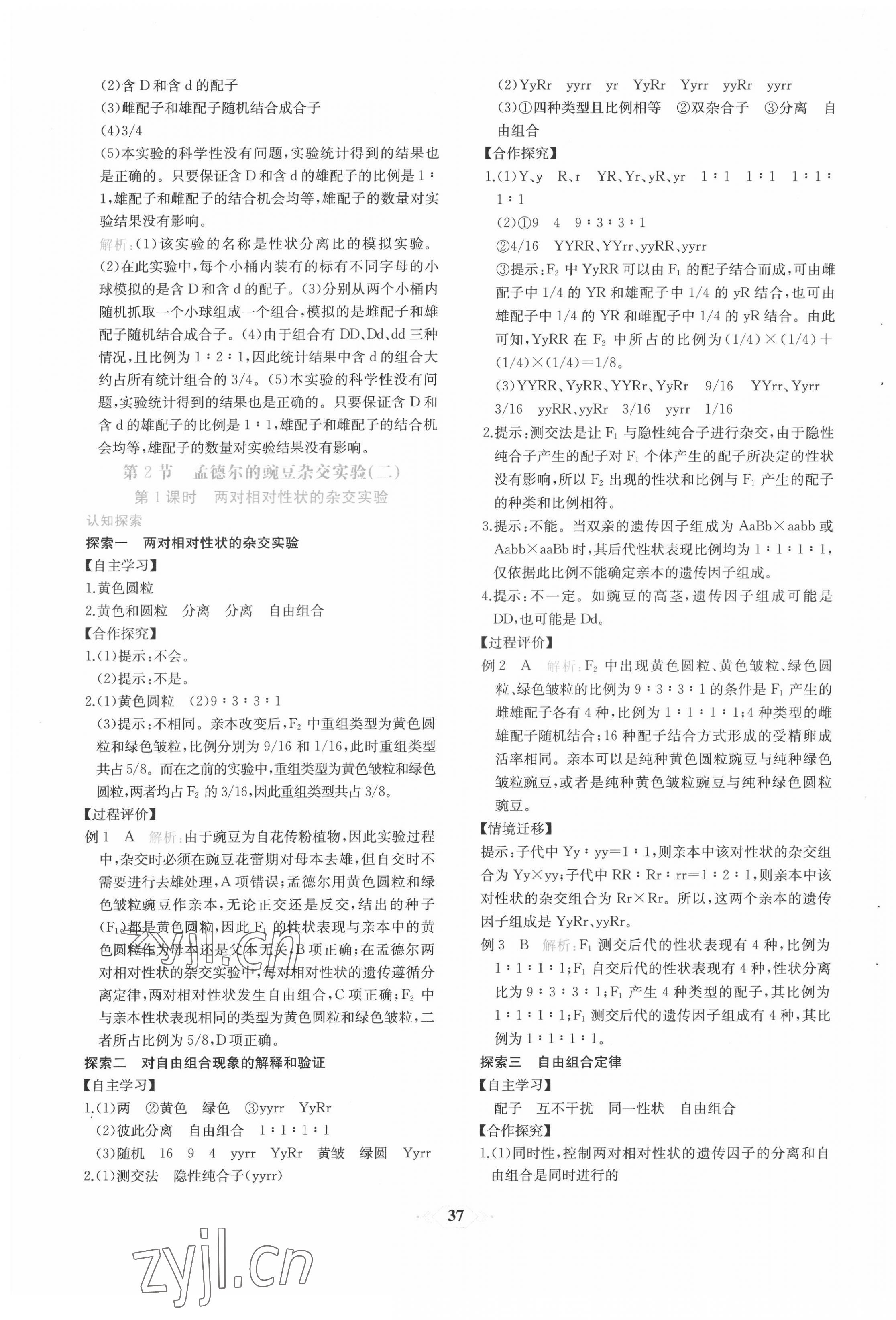 2022年新课程学习评价方案课时练高中生物必修2人教版 第5页