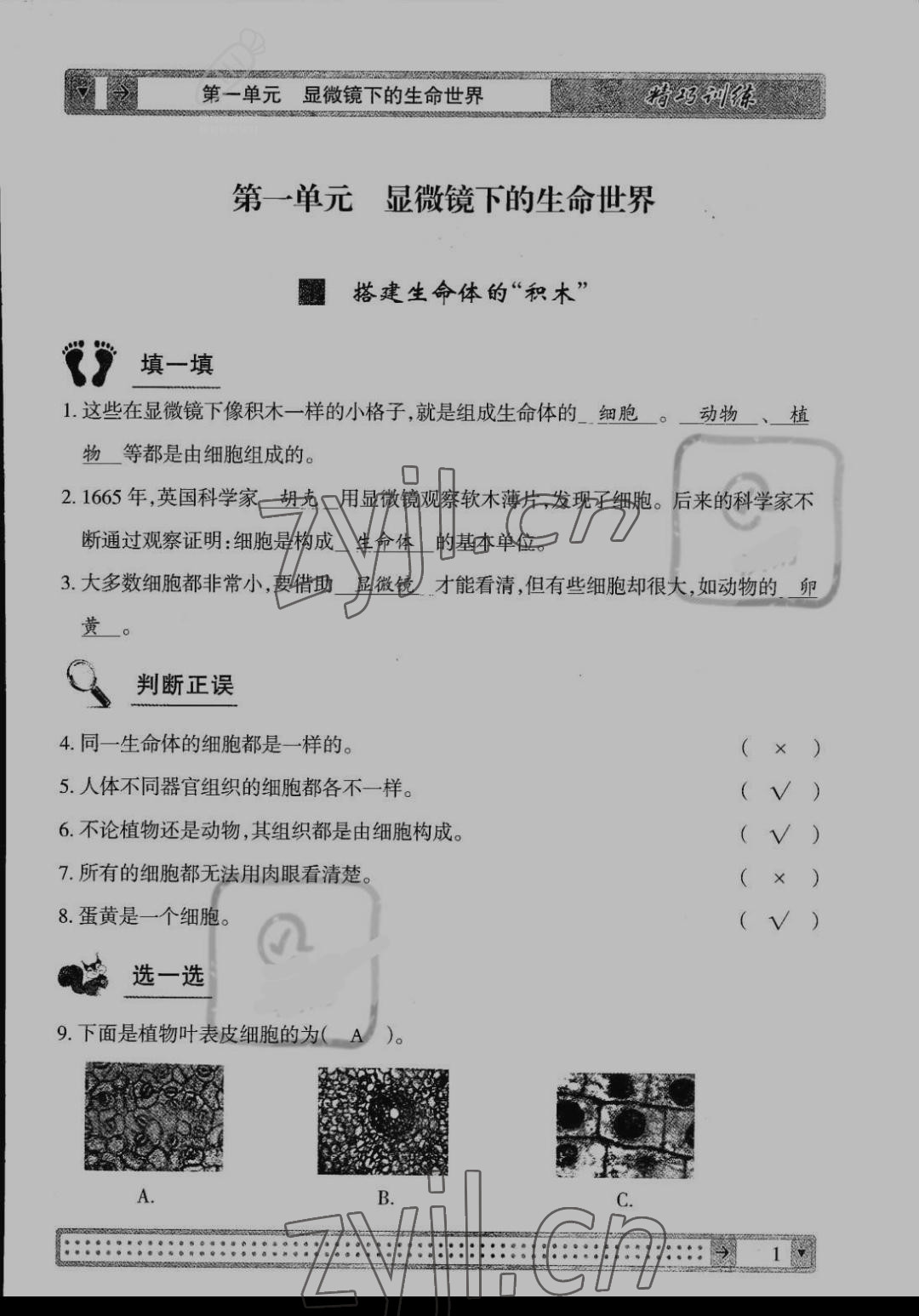 2022年学生课程精巧训练五年级科学下册苏教版 参考答案第1页