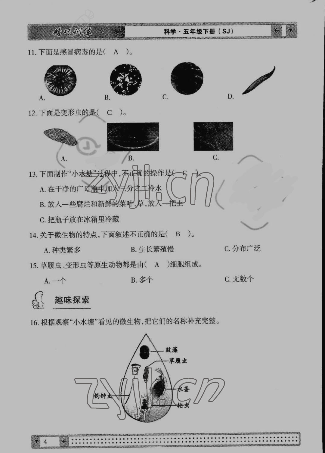 2022年学生课程精巧训练五年级科学下册苏教版 参考答案第4页