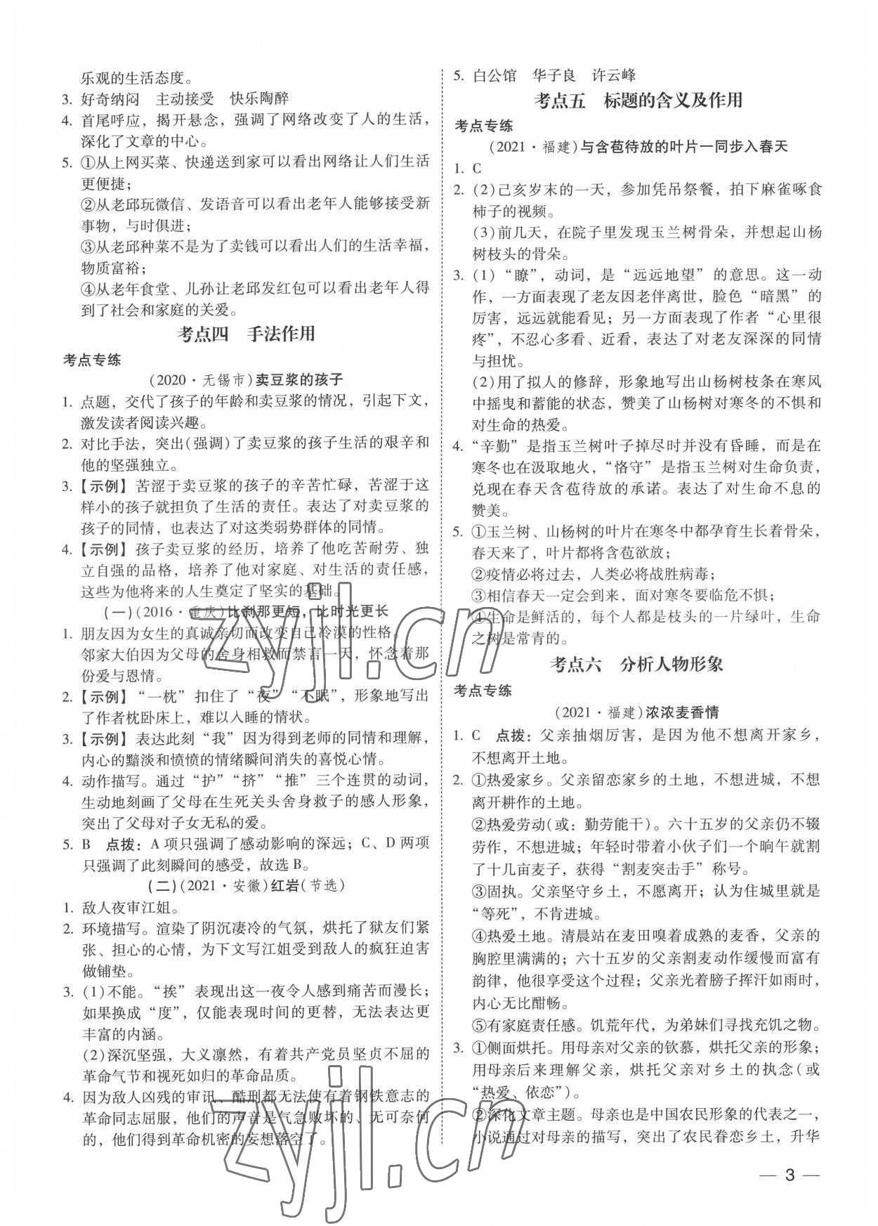 2022年中考宝典现代文阅读技能训练语文中考 参考答案第2页