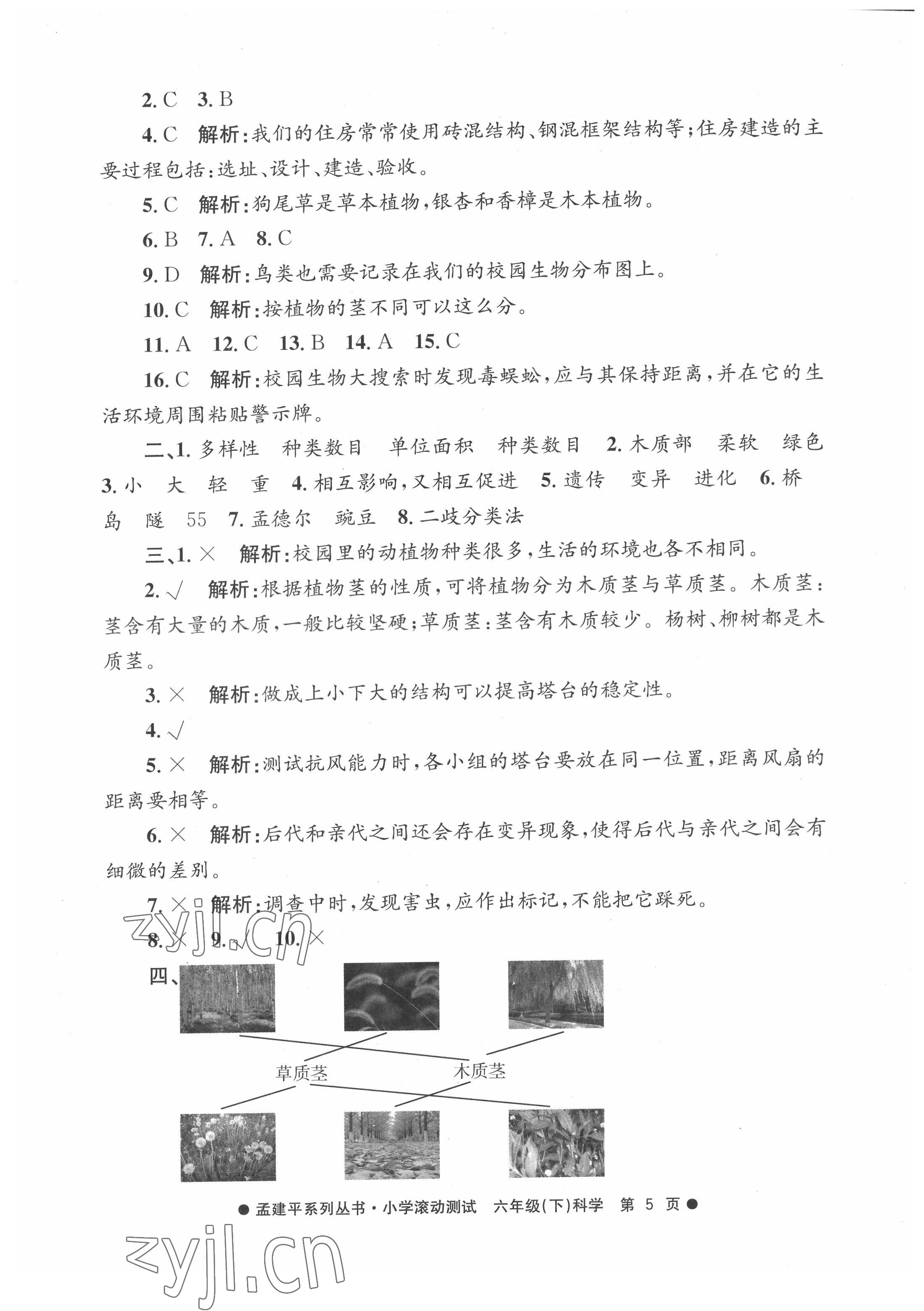 2022年孟建平小学滚动测试六年级科学下册教科版 第5页