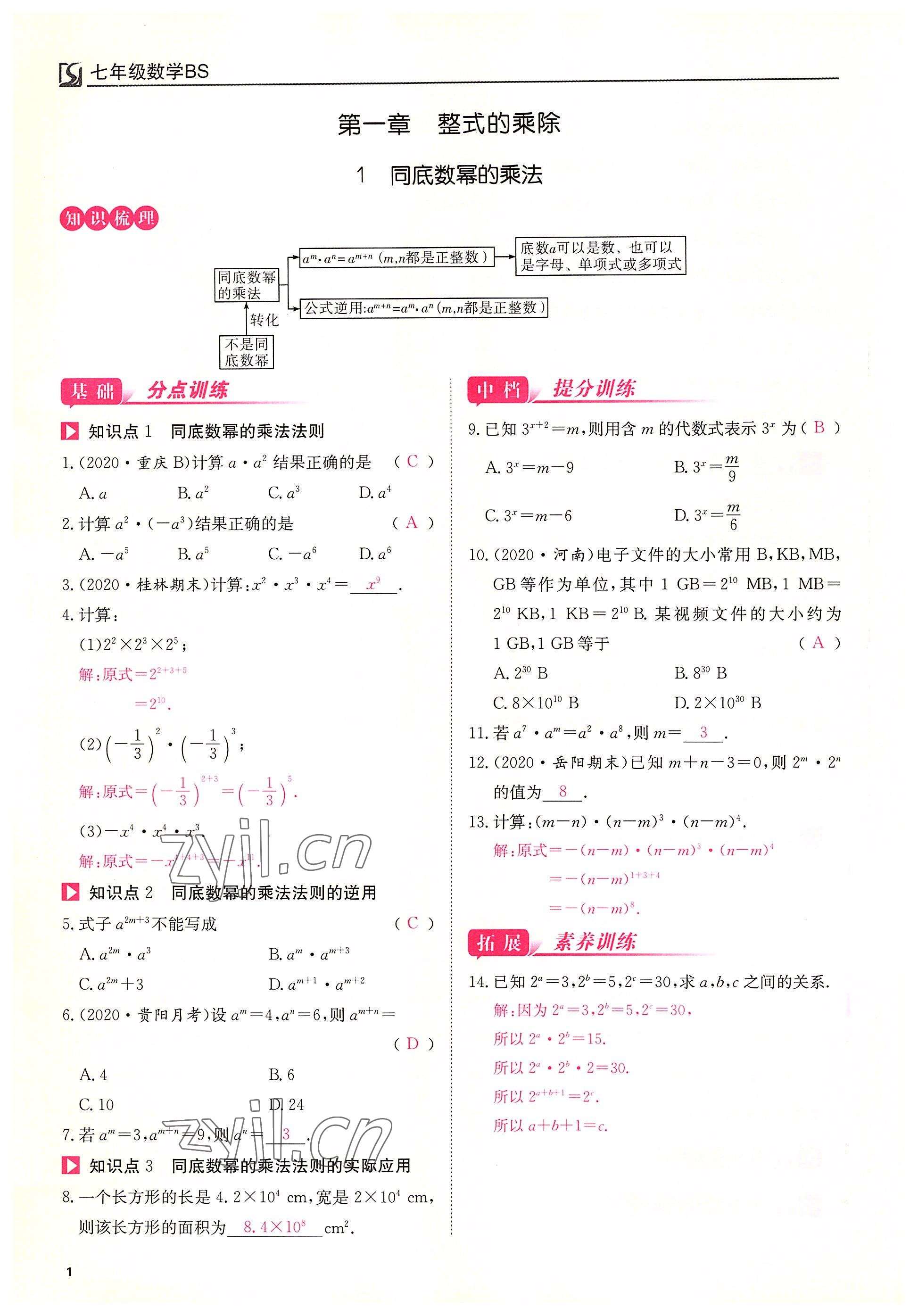 2022年我的作业七年级数学下册北师大版 第1页