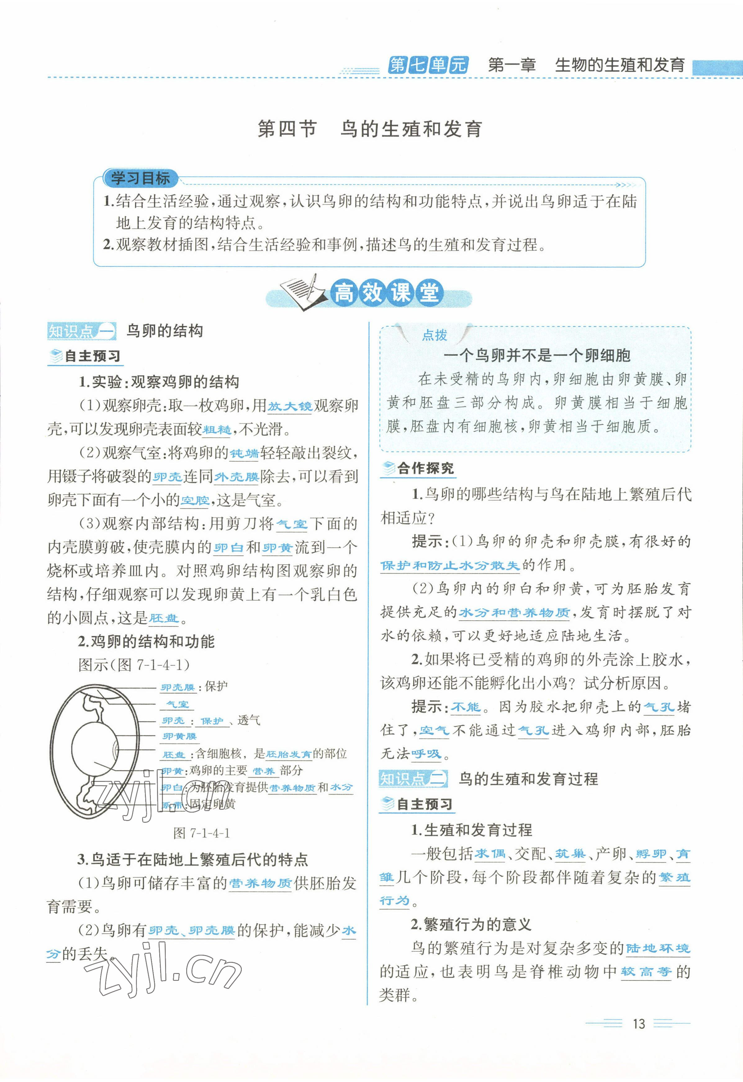 2022年人教金學(xué)典同步解析與測評八年級生物下冊人教版云南專版 參考答案第13頁