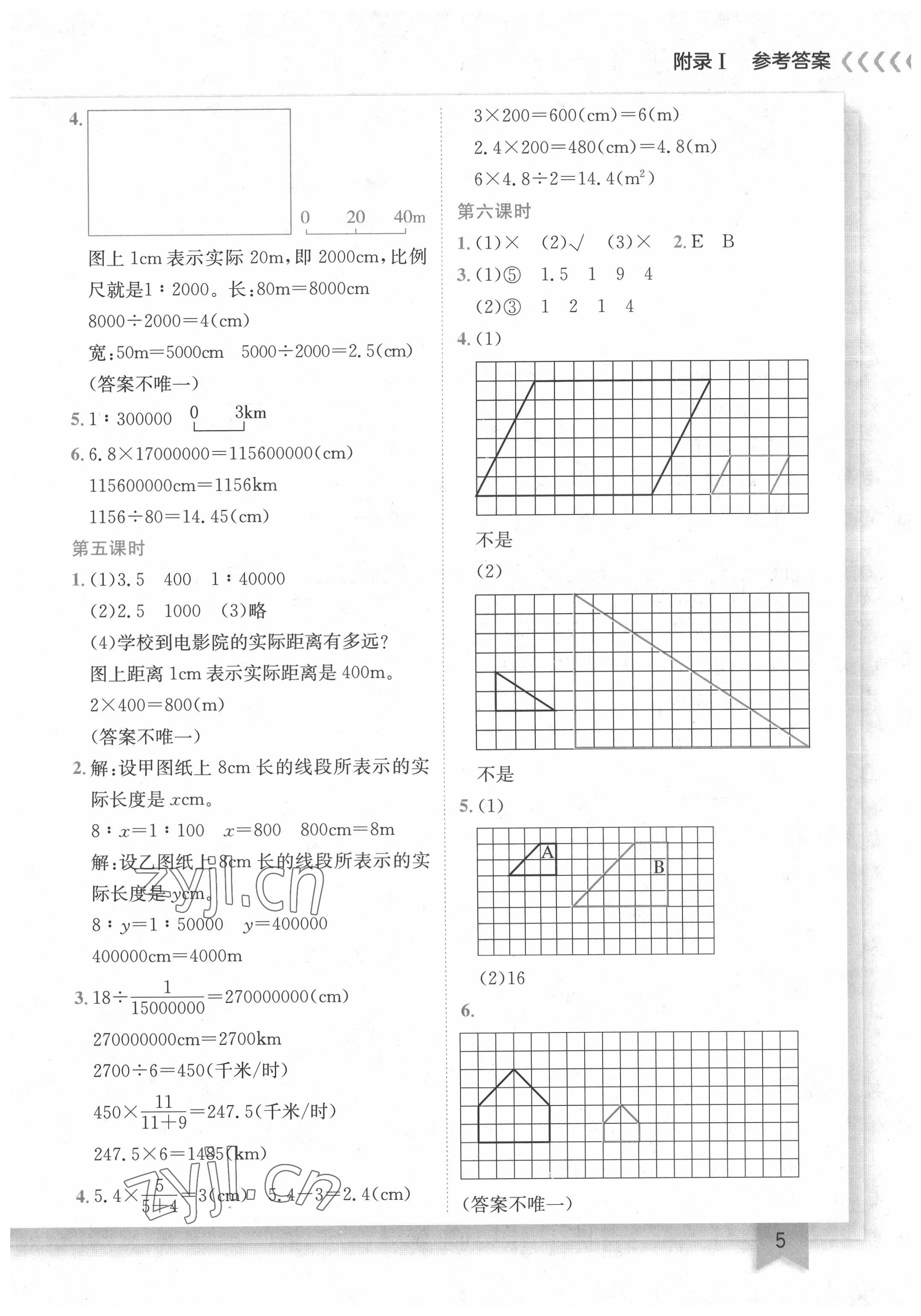 2022年黄冈小状元作业本六年级数学下册北师大版 第5页
