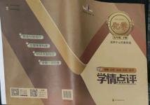 2022年学情点评四川教育出版社九年级化学下册鲁教版
