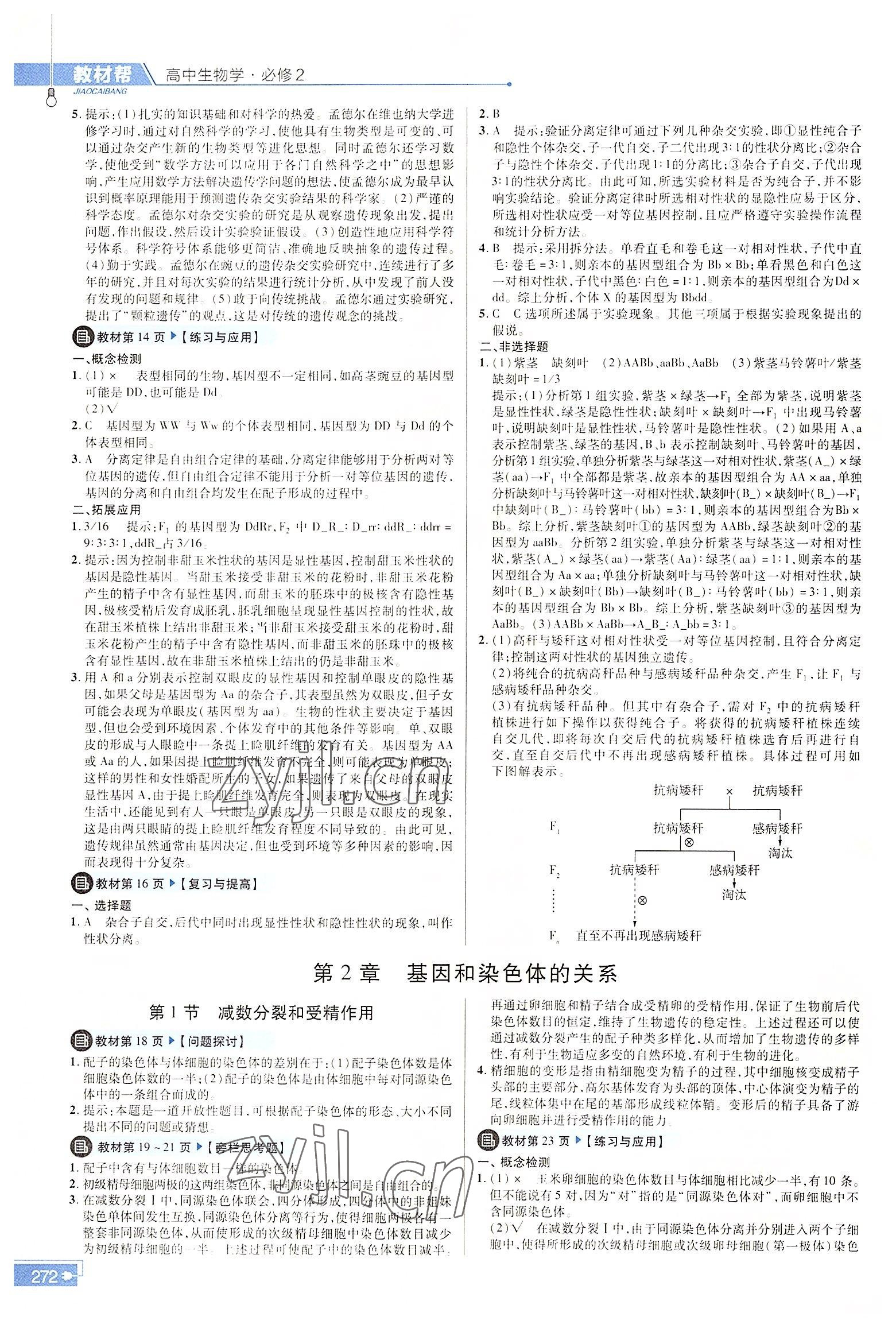 2022年教材課本高中生物必修2人教版 參考答案第2頁(yè)