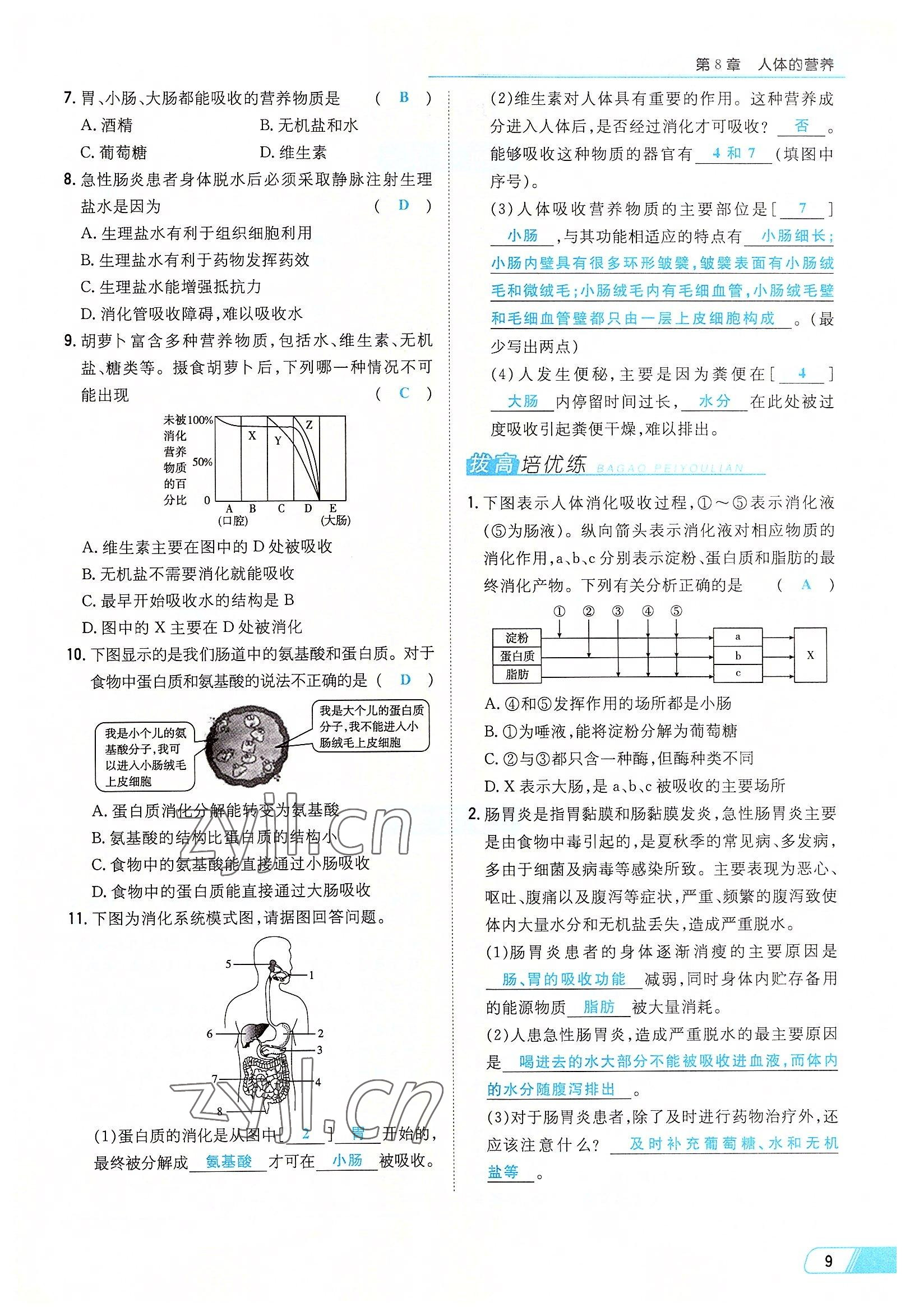 2022年初中同步學(xué)習(xí)導(dǎo)與練導(dǎo)學(xué)探究案七年級生物下冊北師大版云南專版 參考答案第9頁