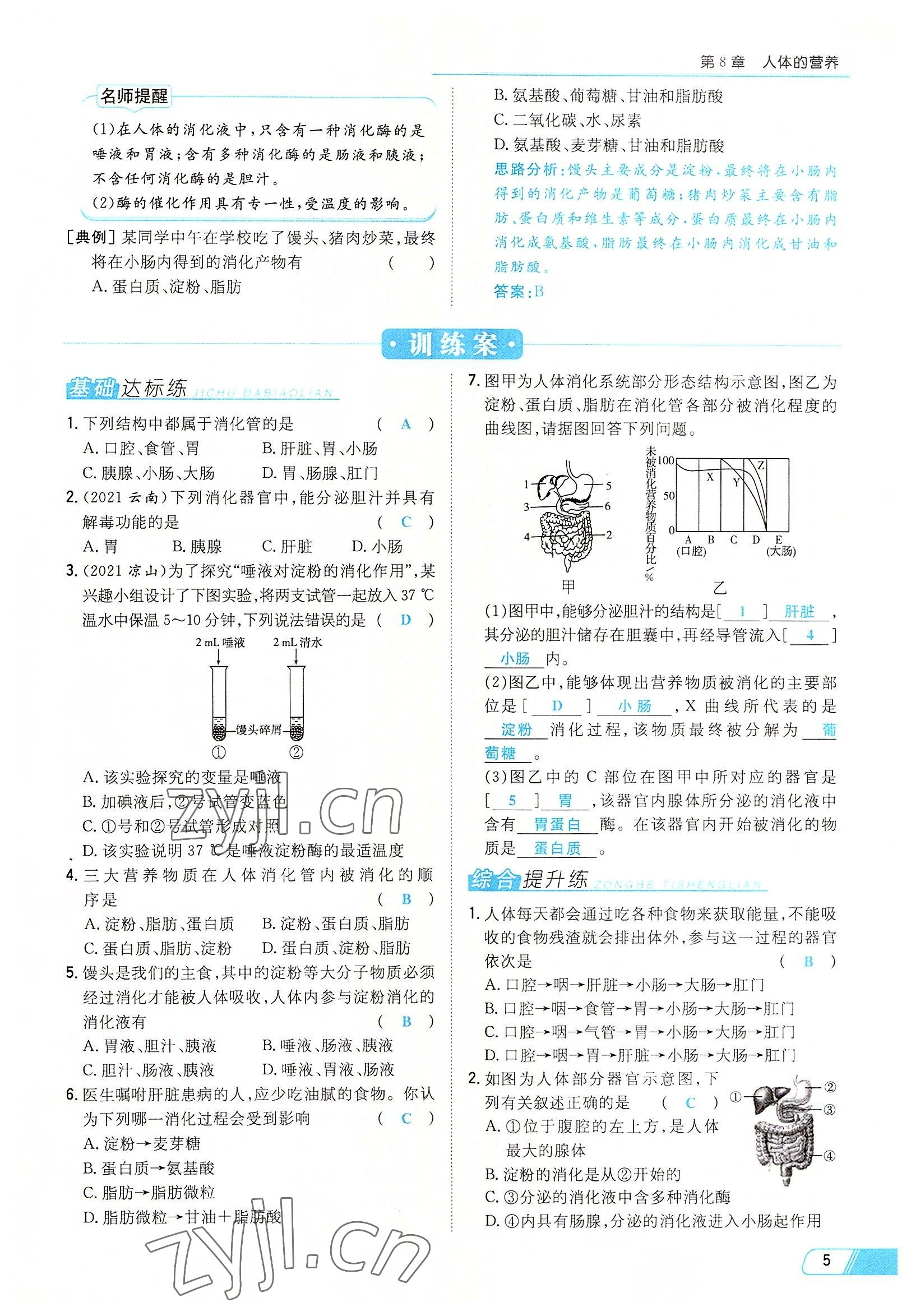 2022年初中同步學(xué)習(xí)導(dǎo)與練導(dǎo)學(xué)探究案七年級(jí)生物下冊(cè)北師大版云南專版 參考答案第5頁(yè)