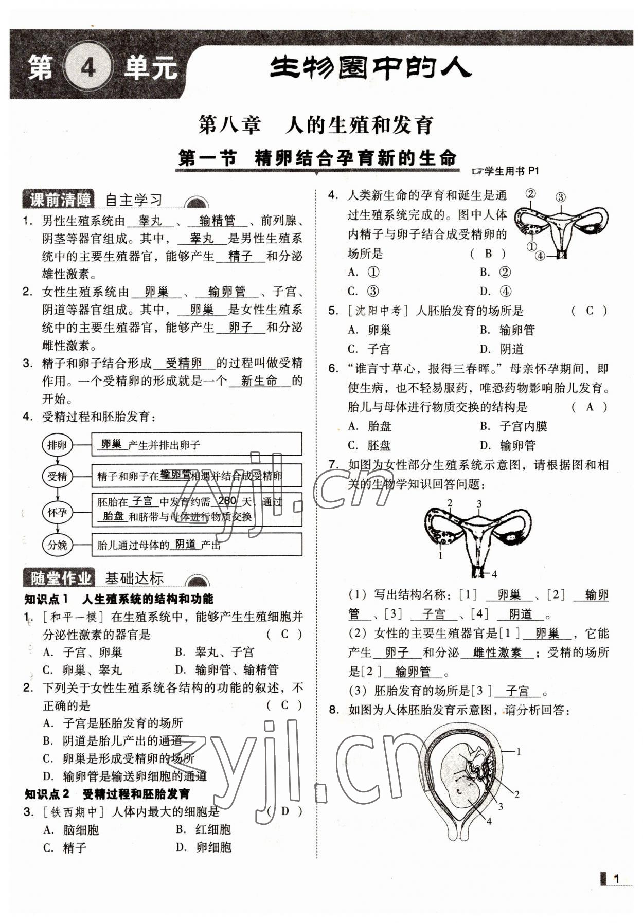 2022年辽宁作业分层培优学案七年级生物下册苏教版 参考答案第1页