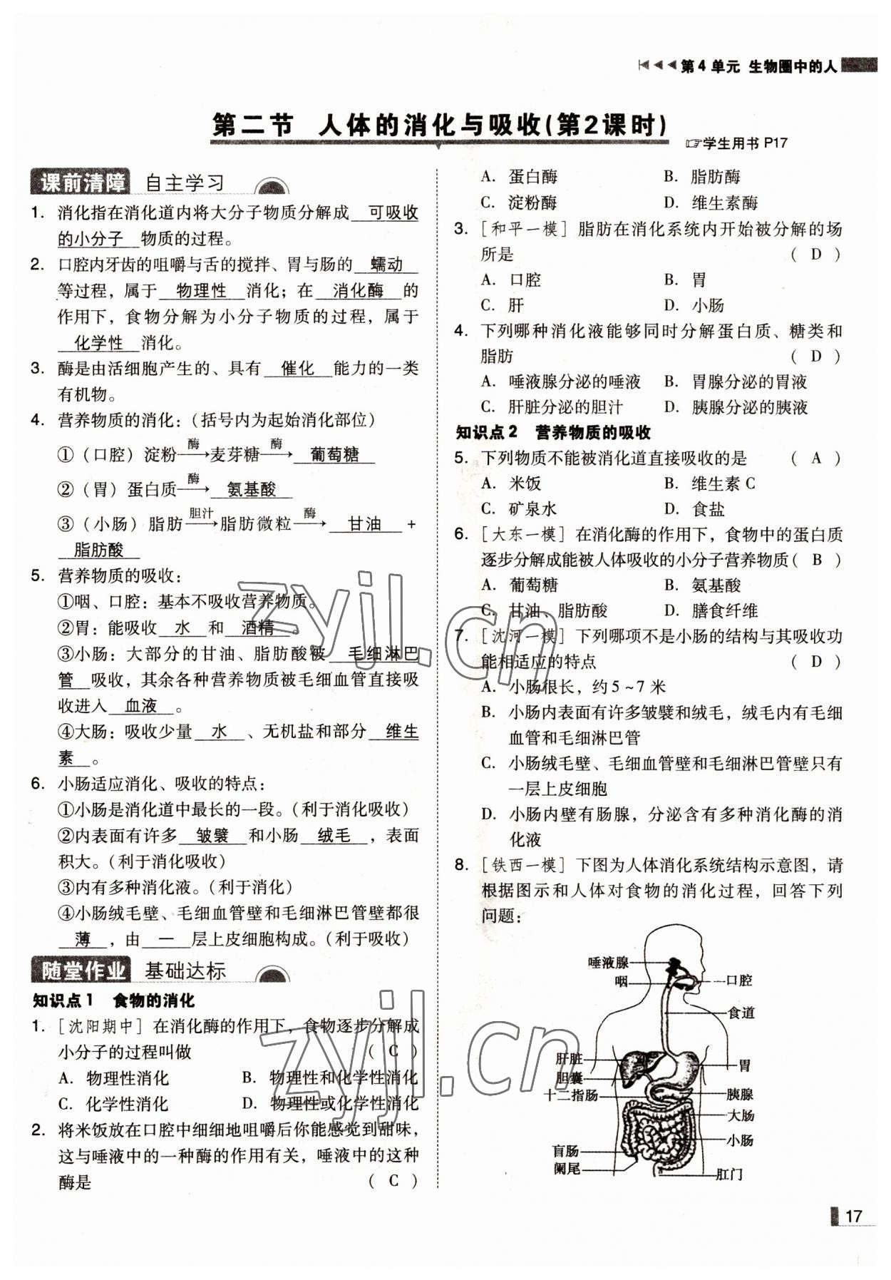 2022年辽宁作业分层培优学案七年级生物下册苏教版 参考答案第17页