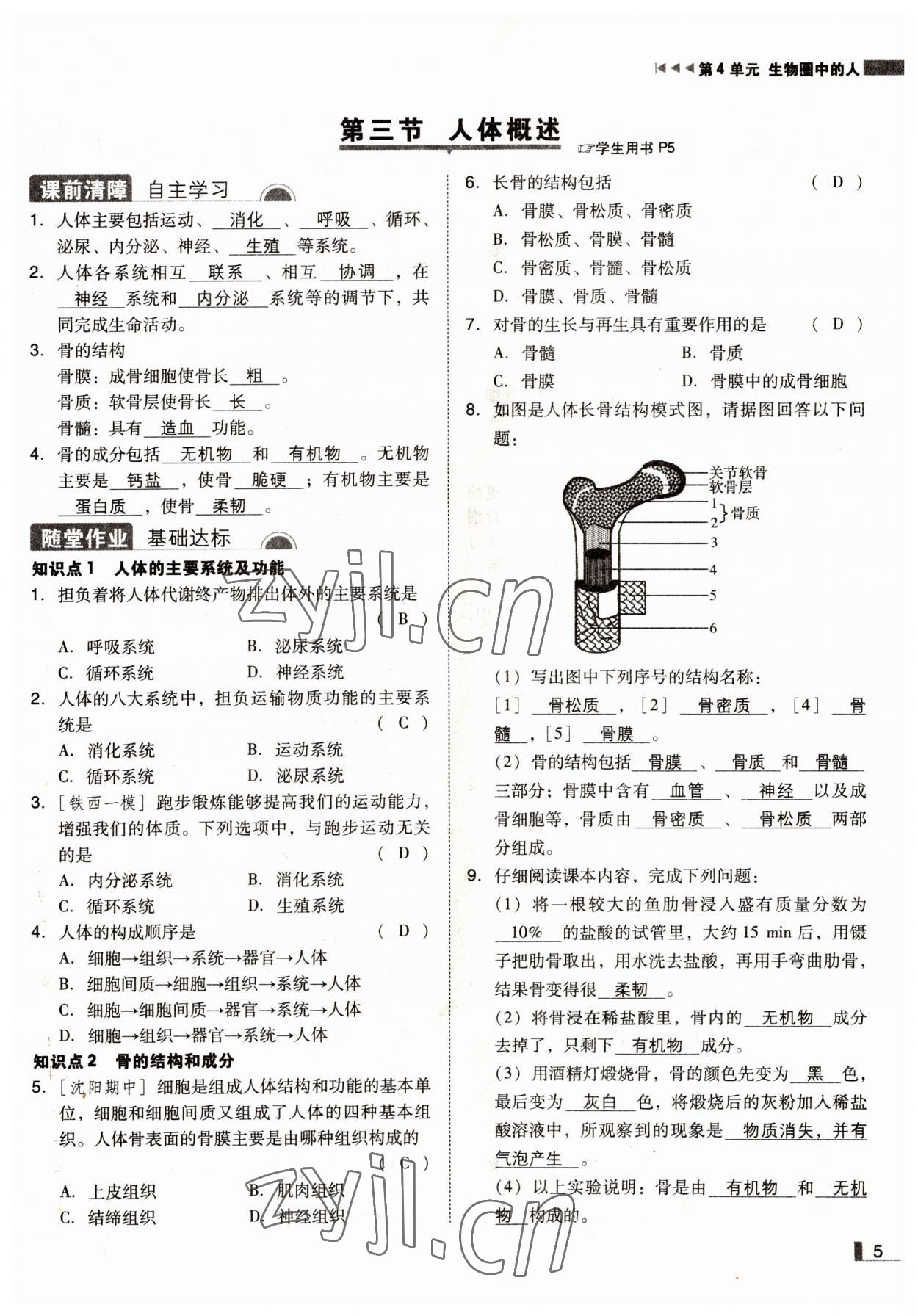 2022年辽宁作业分层培优学案七年级生物下册苏教版 参考答案第5页