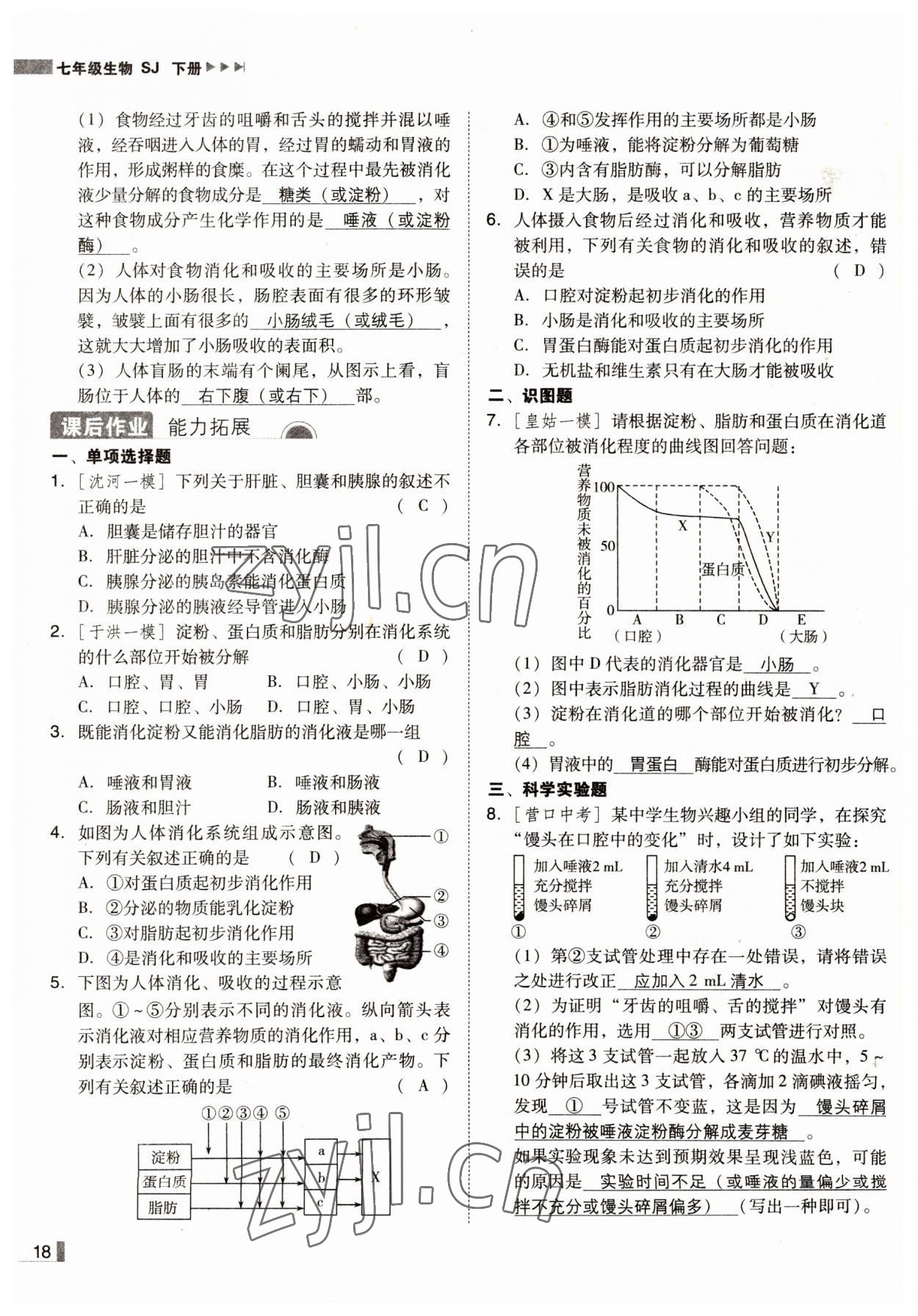 2022年辽宁作业分层培优学案七年级生物下册苏教版 参考答案第18页