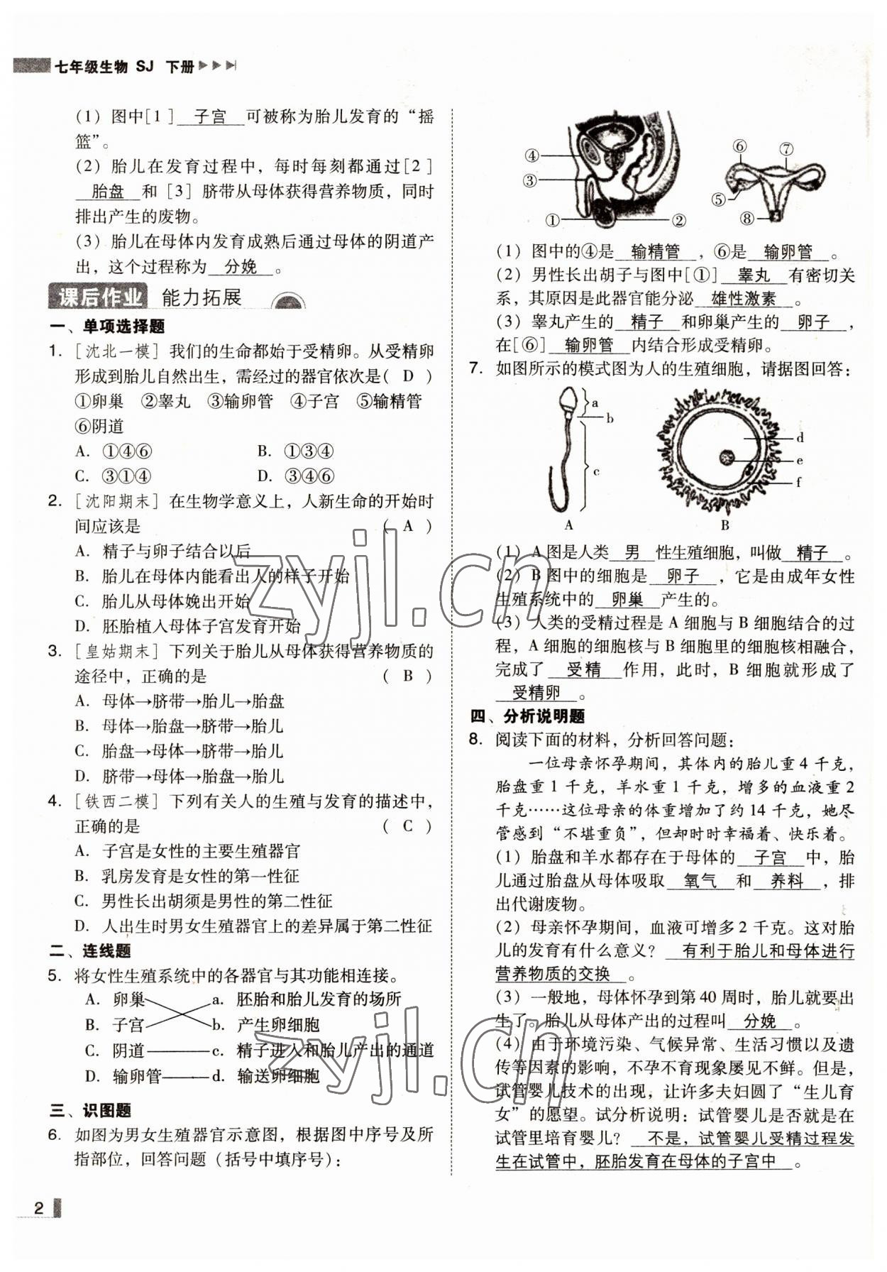 2022年辽宁作业分层培优学案七年级生物下册苏教版 参考答案第2页