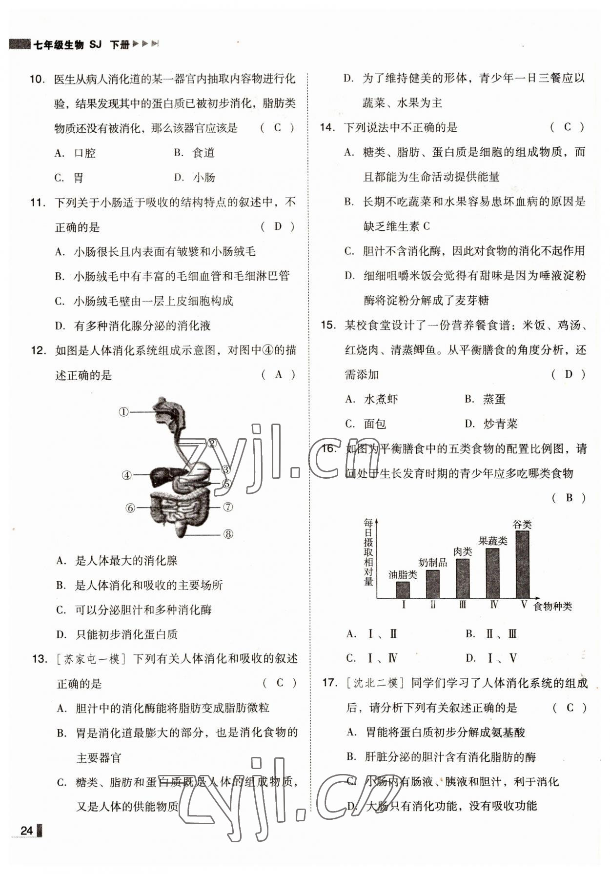 2022年辽宁作业分层培优学案七年级生物下册苏教版 参考答案第24页