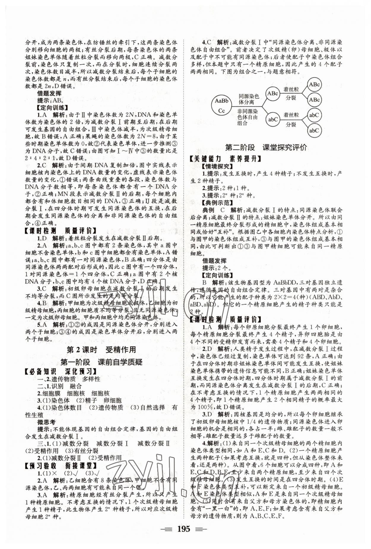 2022年长江作业本同步练习册高中生物必修2人教版 参考答案第5页