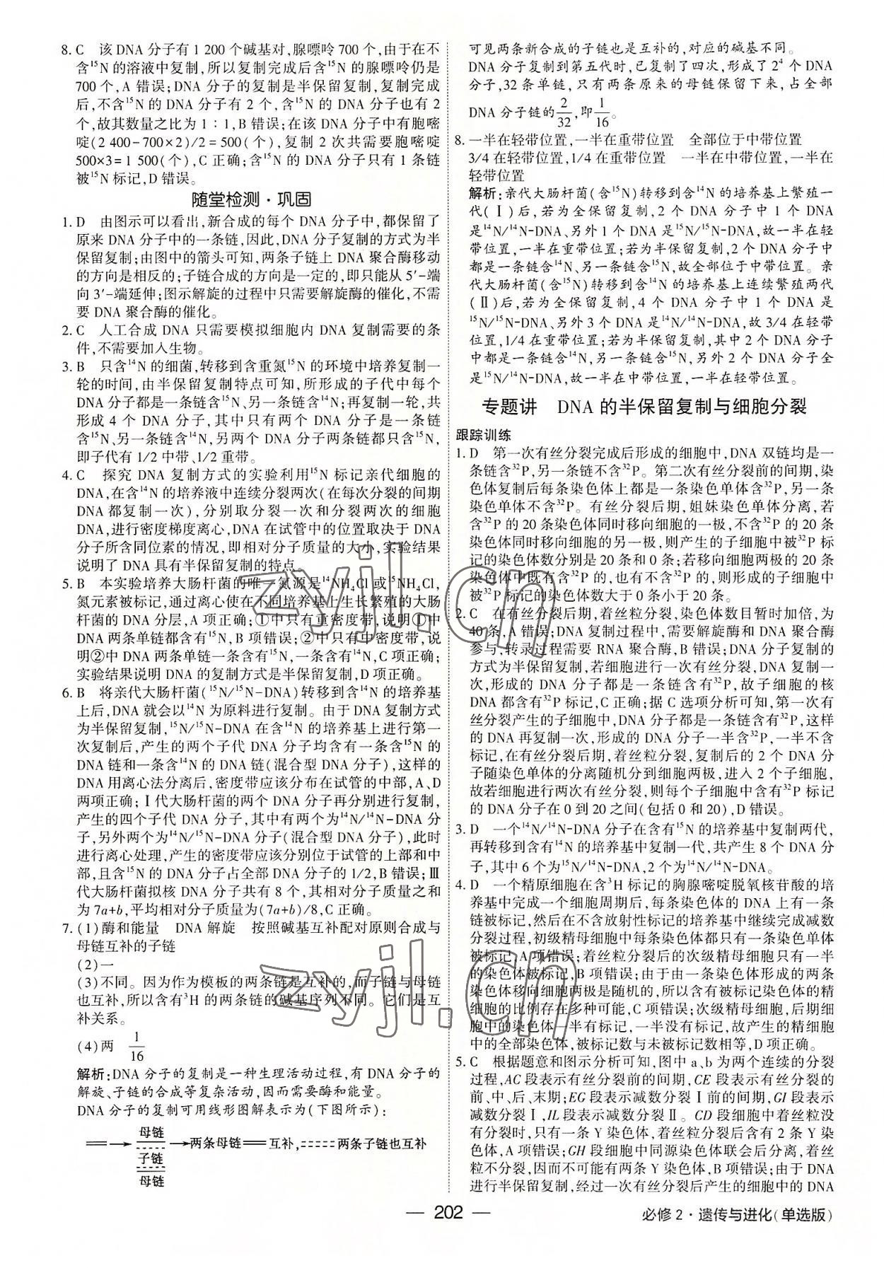 2022年红对勾讲与练高中生物必修2人教版 参考答案第14页