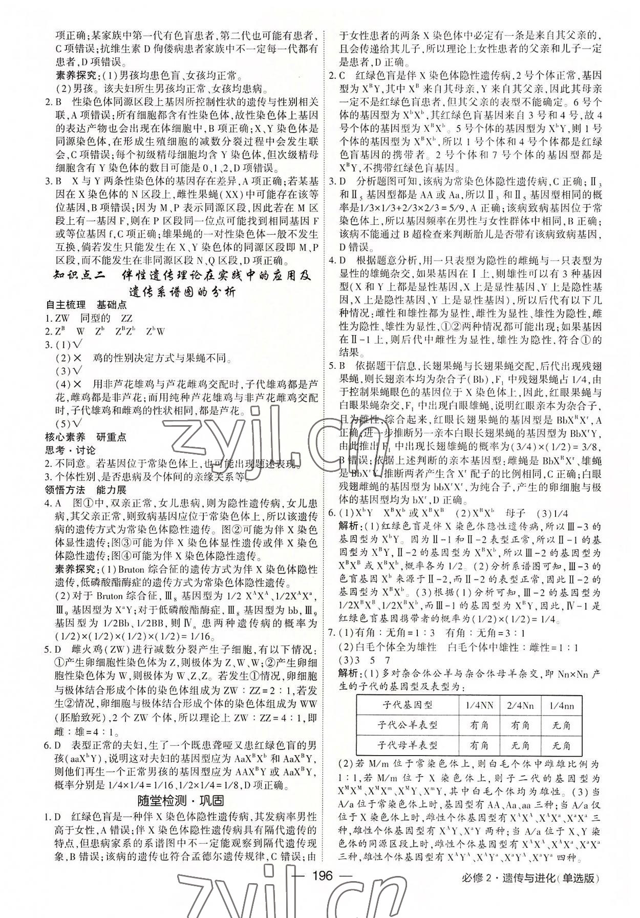 2022年红对勾讲与练高中生物必修2人教版 参考答案第8页