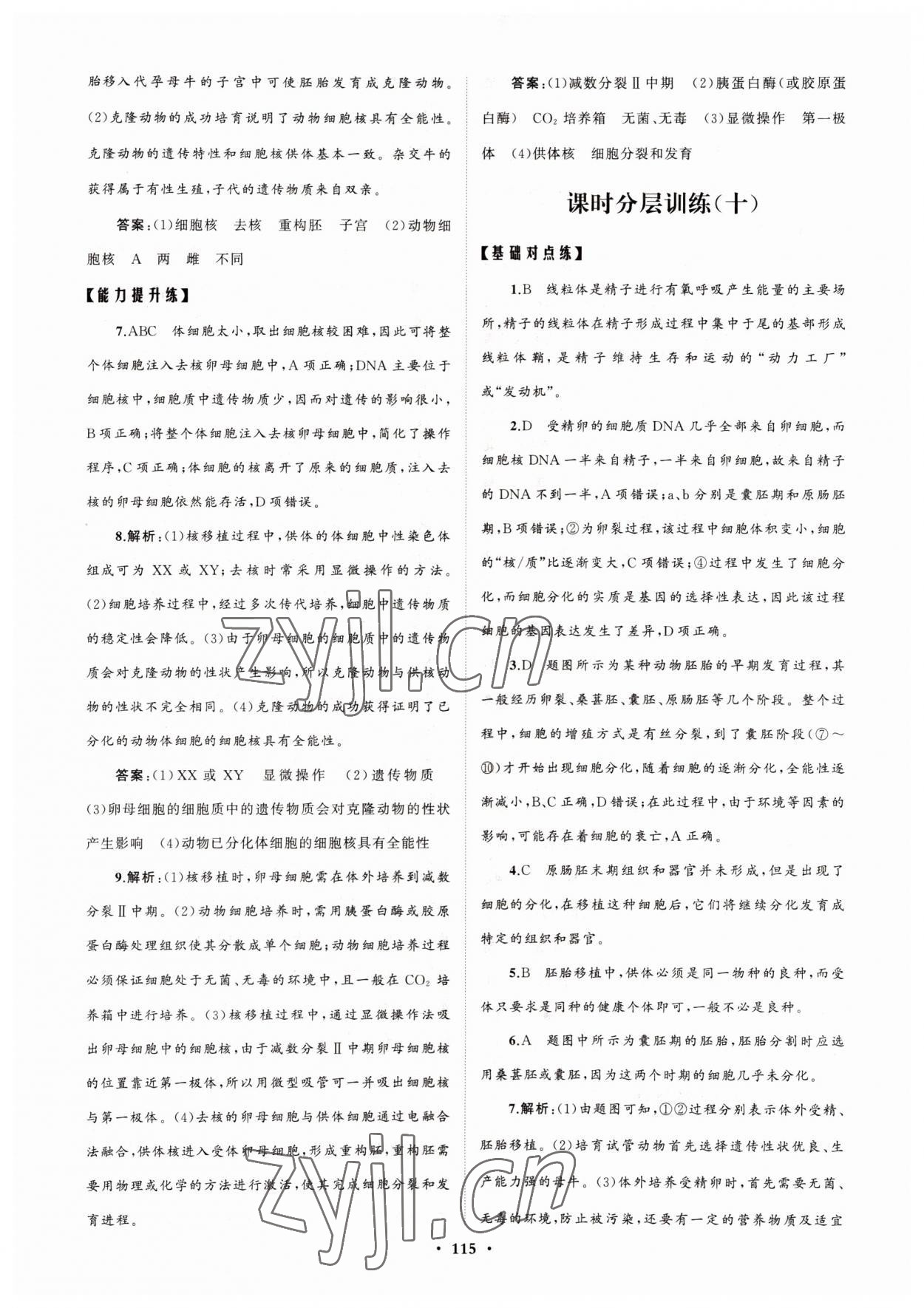 2022年高中同步练习册分层检测卷生物选修3人教版 参考答案第11页