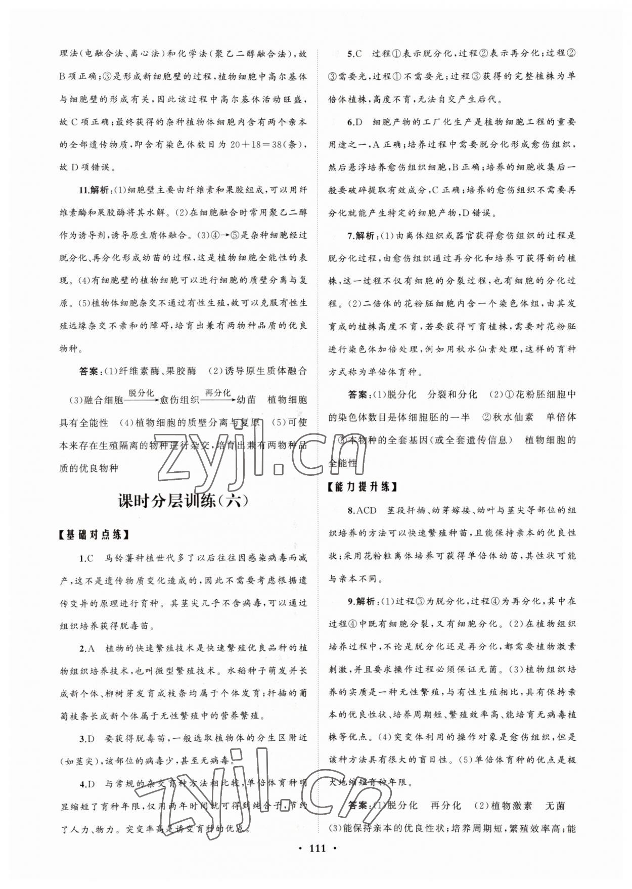 2022年高中同步练习册分层检测卷生物选修3人教版 参考答案第7页