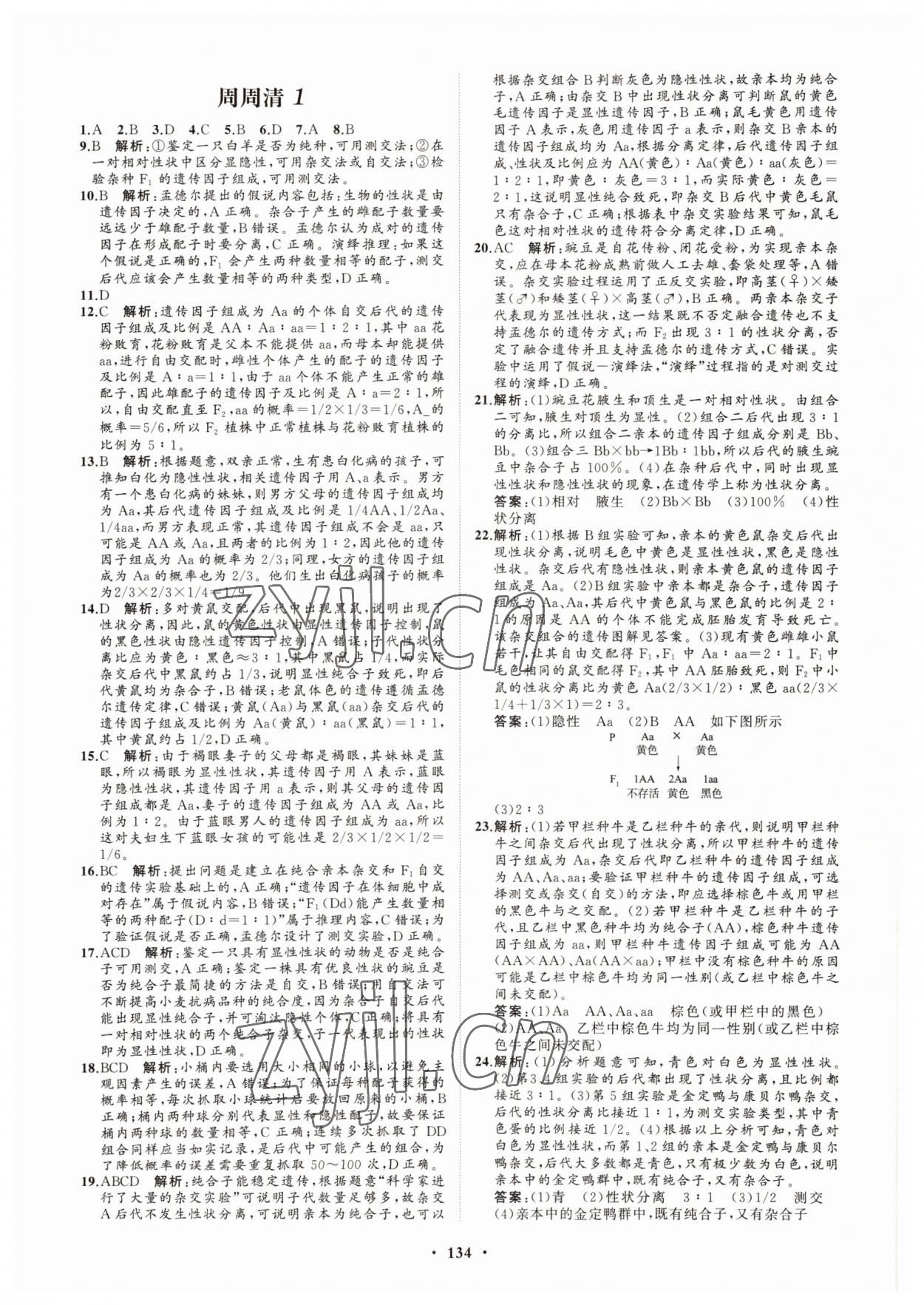 2022年高中同步练习册分层检测卷生物必修2人教版 参考答案第6页