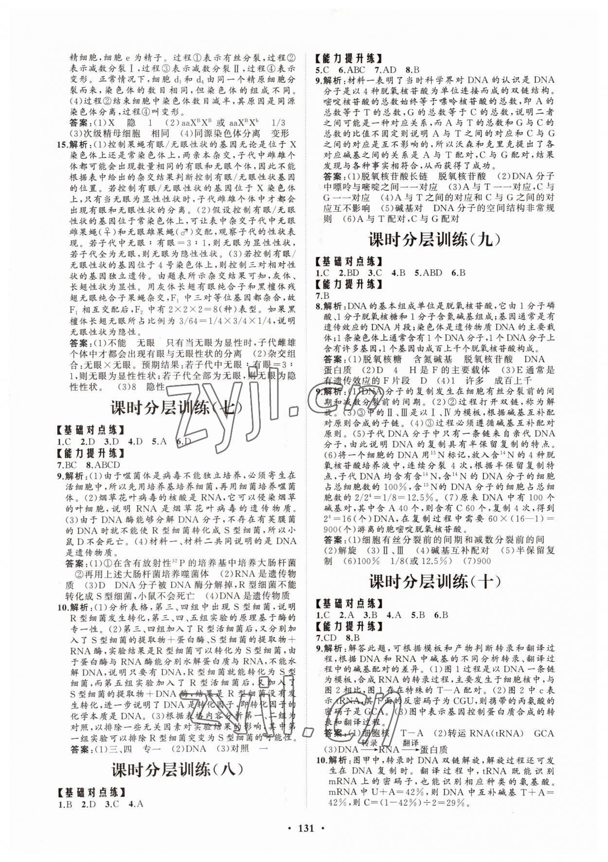 2022年高中同步练习册分层检测卷生物必修2人教版 参考答案第3页