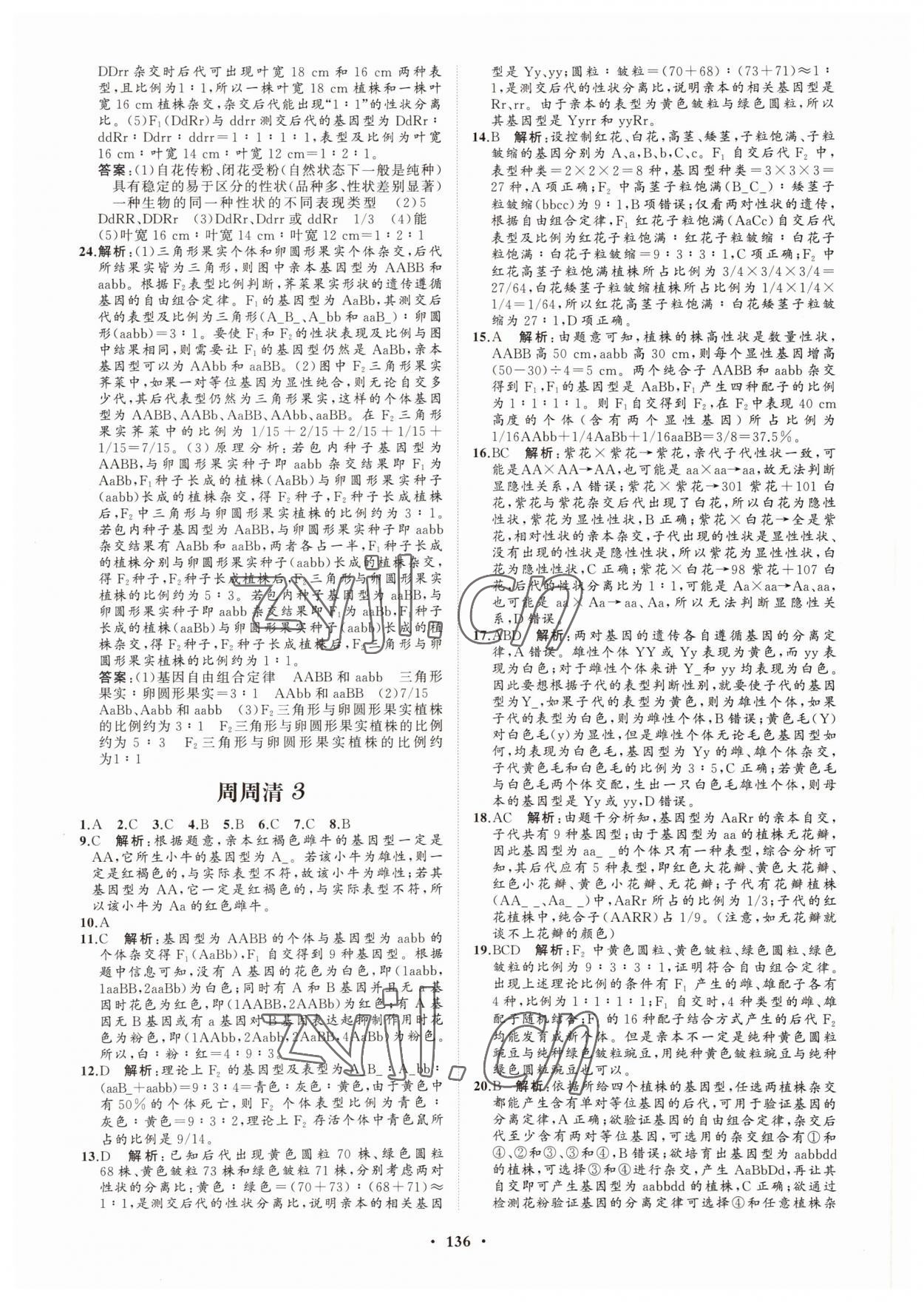 2022年高中同步练习册分层检测卷生物必修2人教版 参考答案第8页