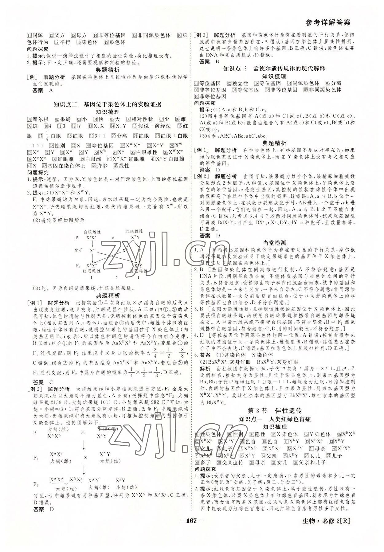 2022年金版教程高中新课程创新导学案生物必修2 参考答案第7页