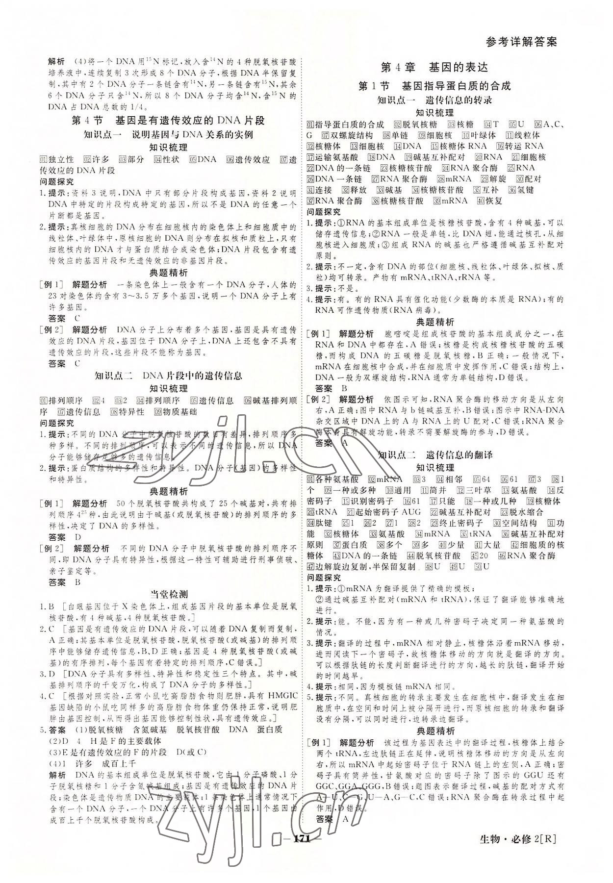 2022年金版教程高中新课程创新导学案生物必修2 参考答案第11页