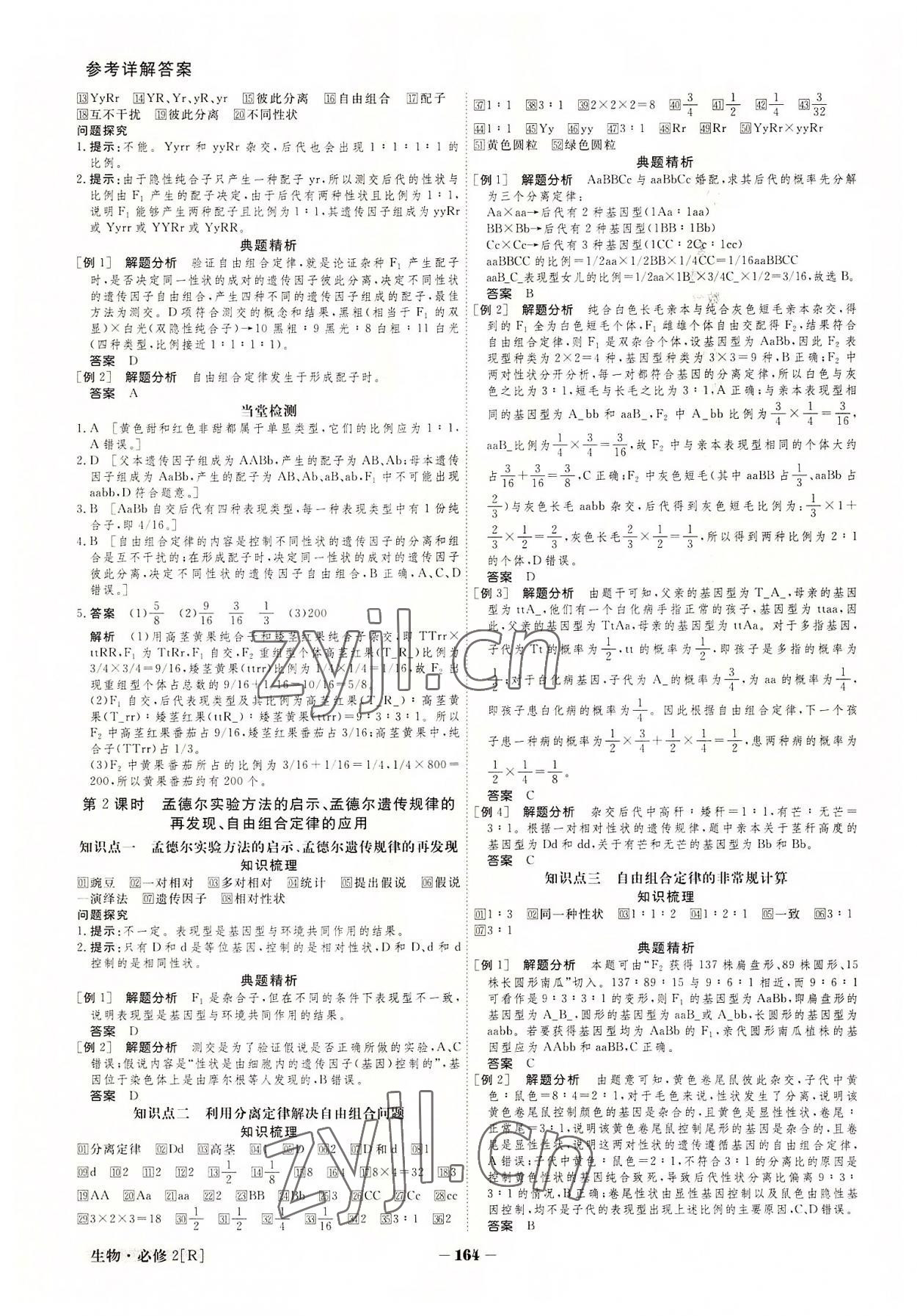 2022年金版教程高中新课程创新导学案生物必修2 参考答案第4页