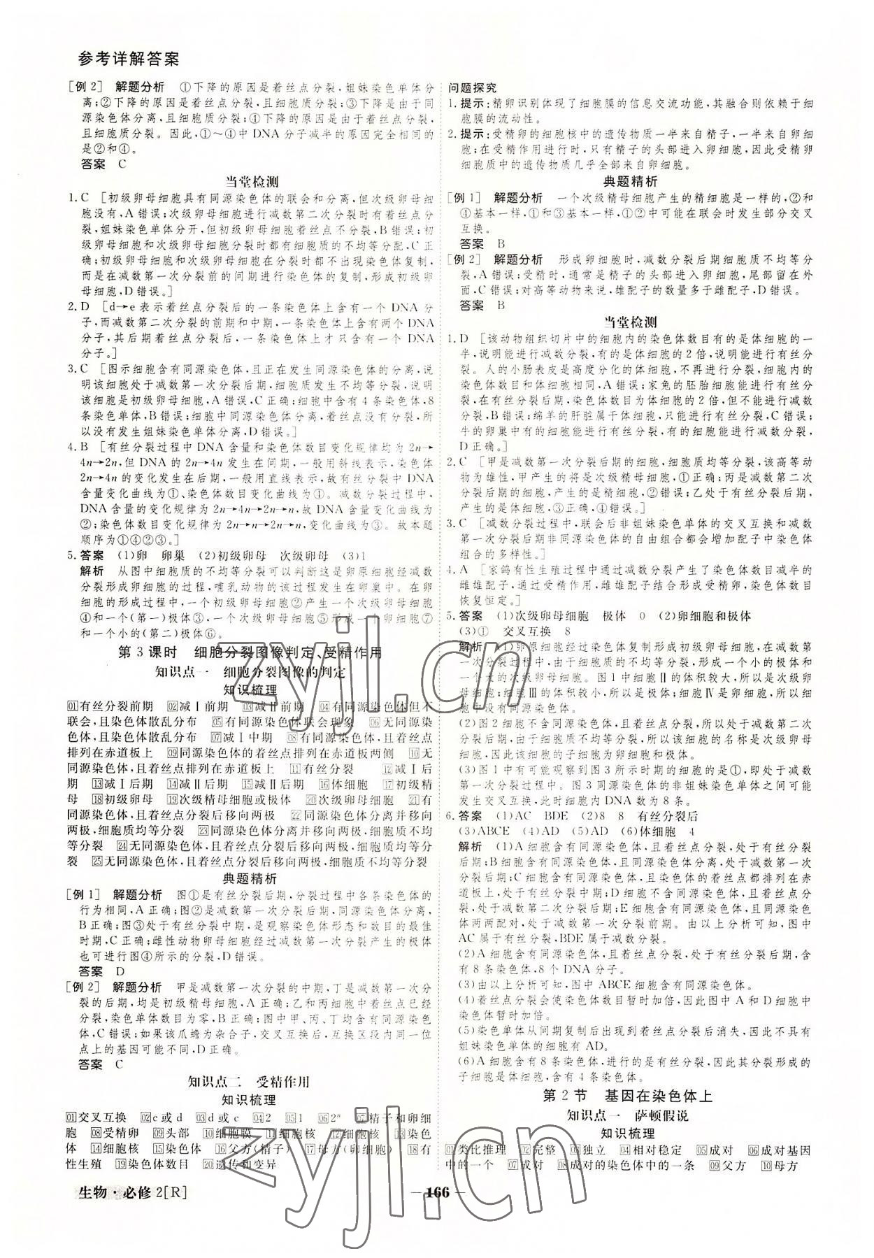 2022年金版教程高中新课程创新导学案生物必修2 参考答案第6页