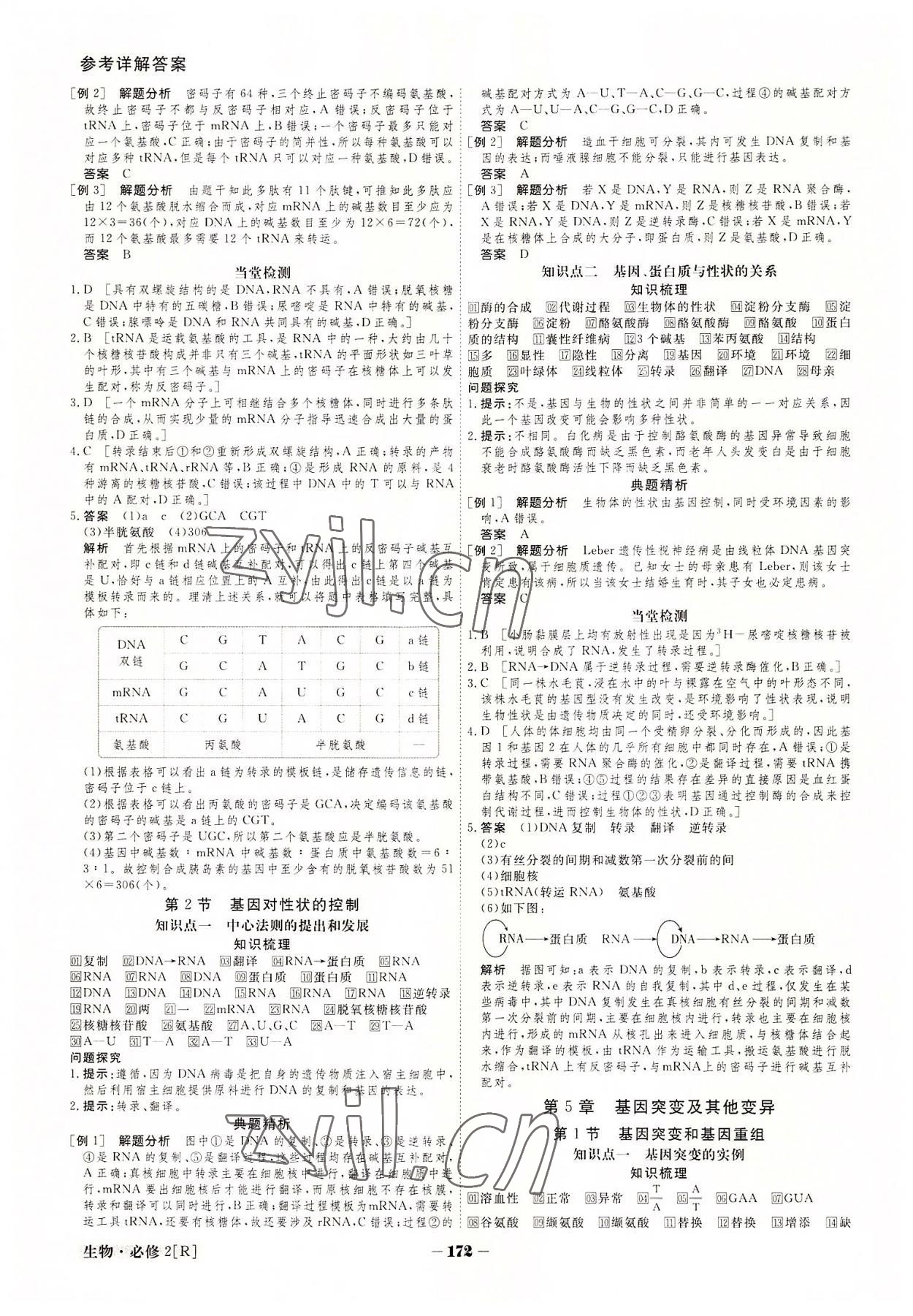 2022年金版教程高中新课程创新导学案生物必修2 参考答案第12页